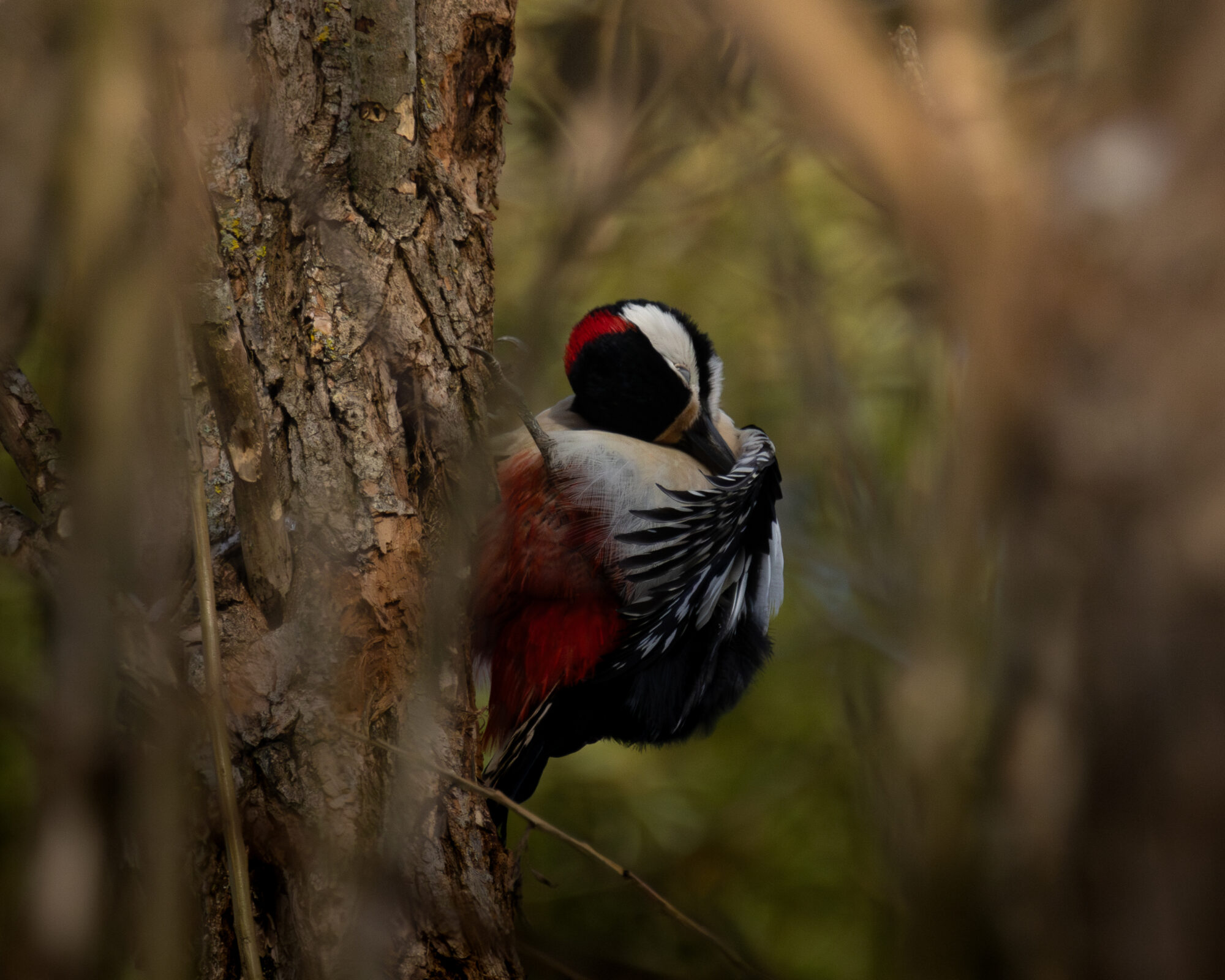 Valokuvaaja: Leevi Halme