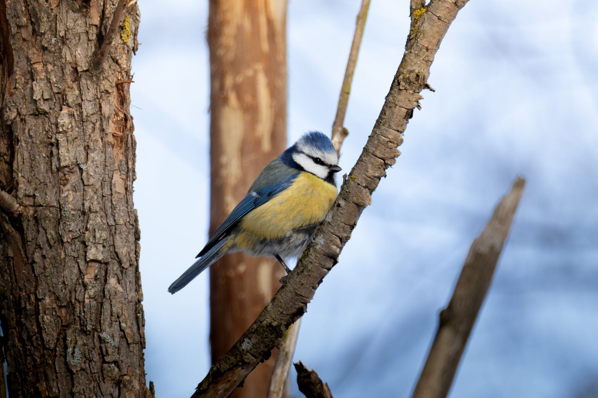 Valokuvaaja: Leevi Halme