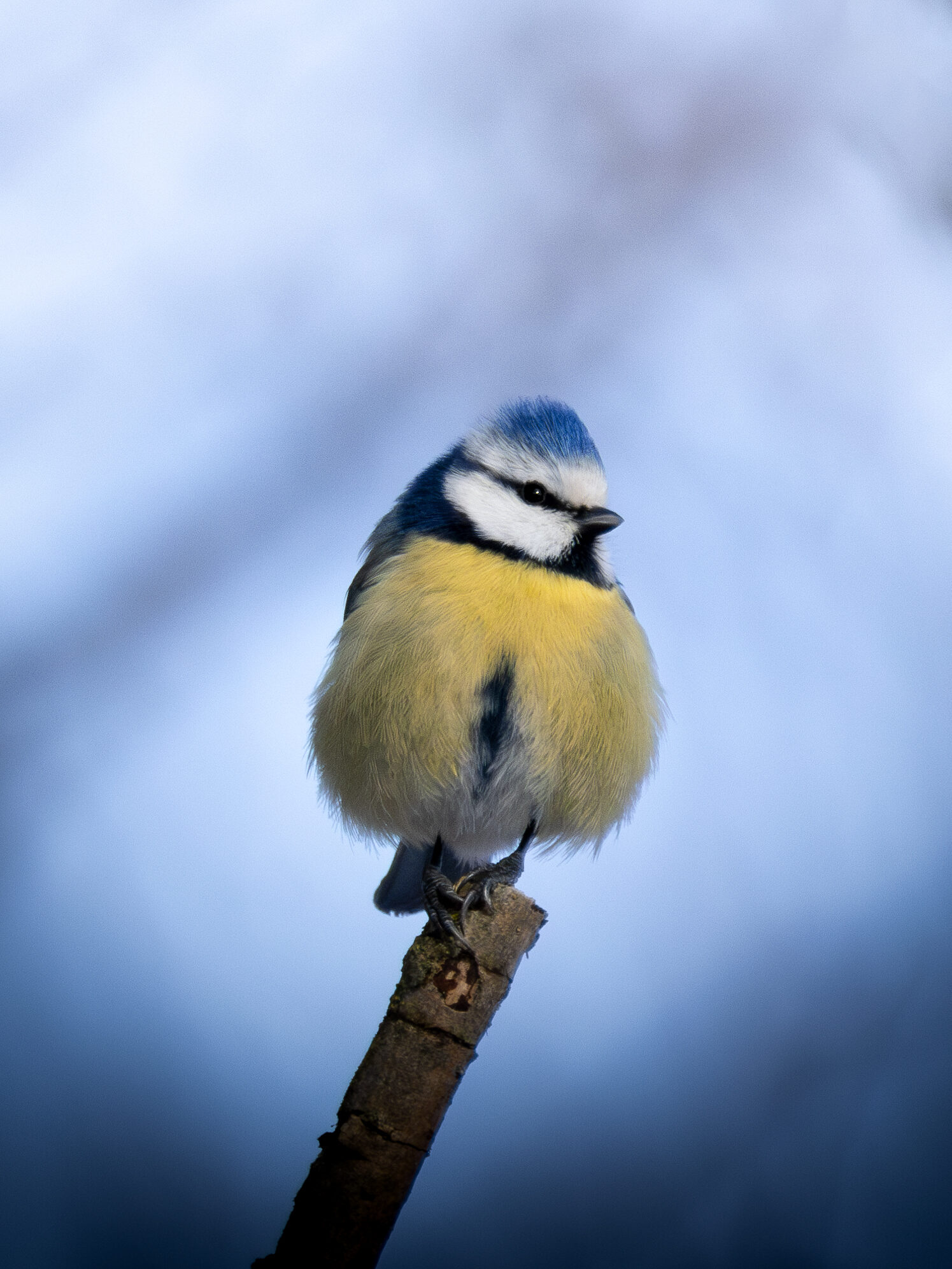 Valokuvaaja: Leevi Halme