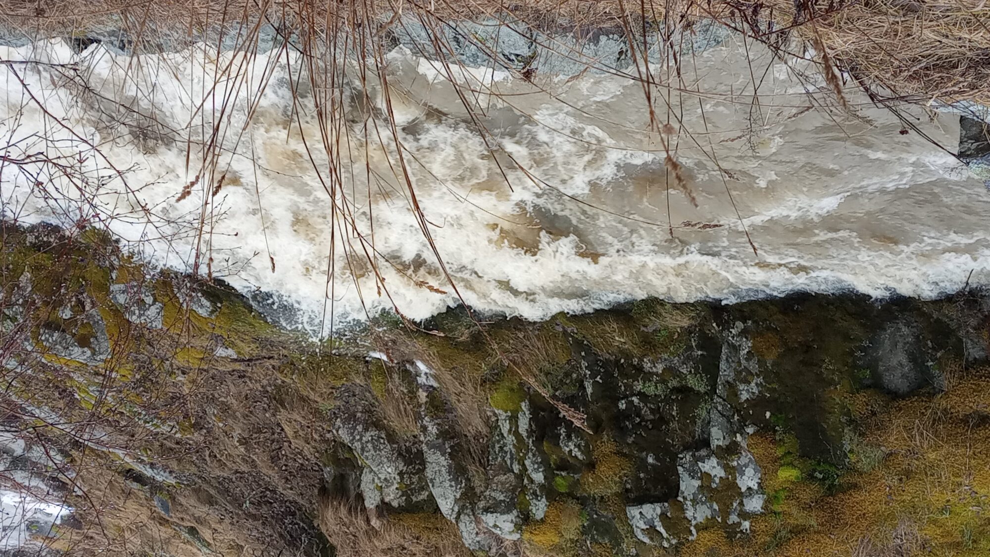 Valokuvaaja: Heli Lehtonen