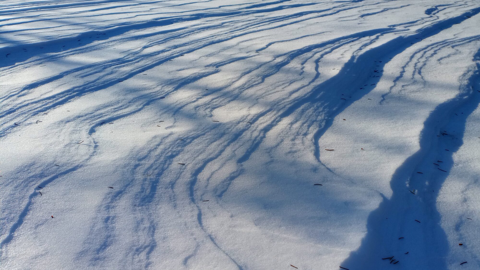 Valokuvaaja: Heli Lehtonen