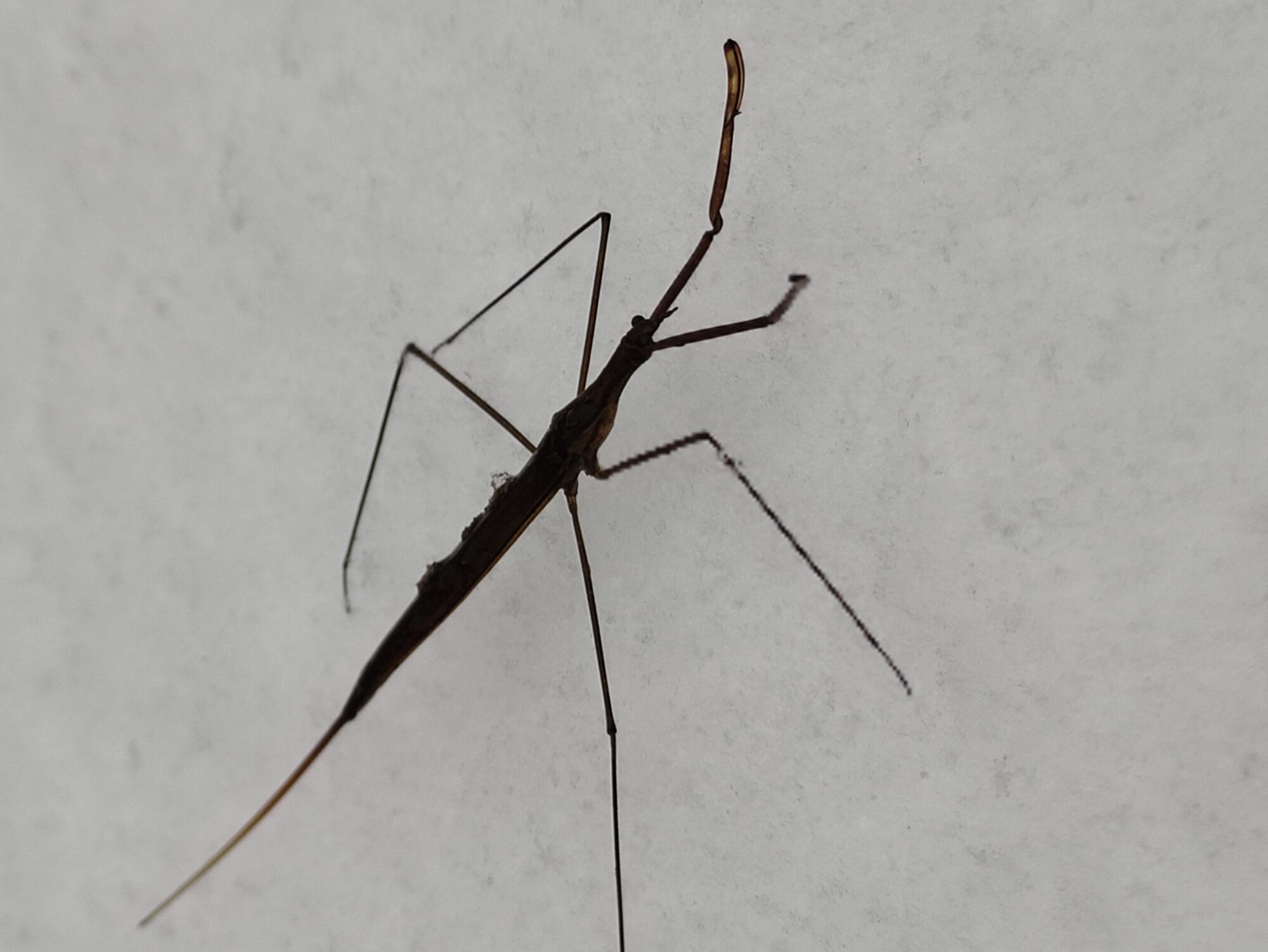 Valokuvaaja: Sari Laine