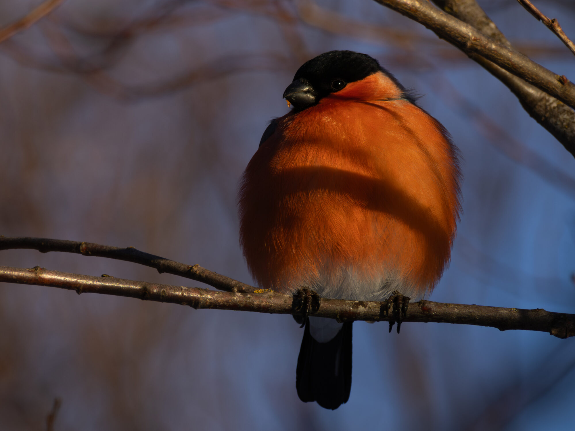 Valokuvaaja: Leevi Halme