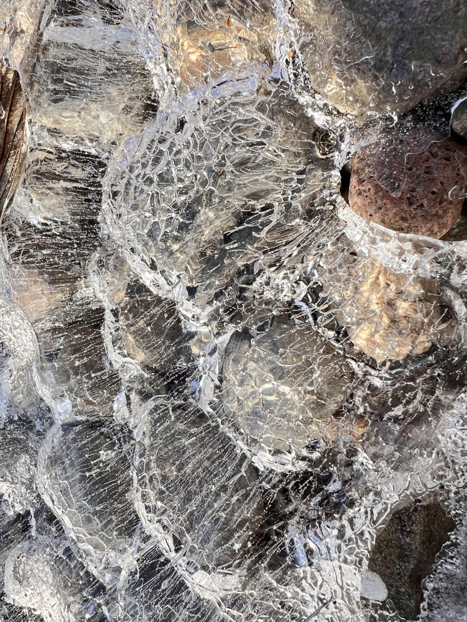 Valokuvaaja: Anne Patana Valokuvaaja: Anne Patana