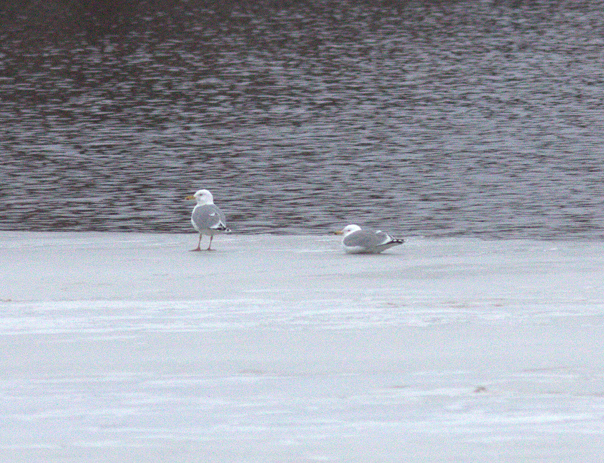 Valokuvaaja: Tapio Keinonen
