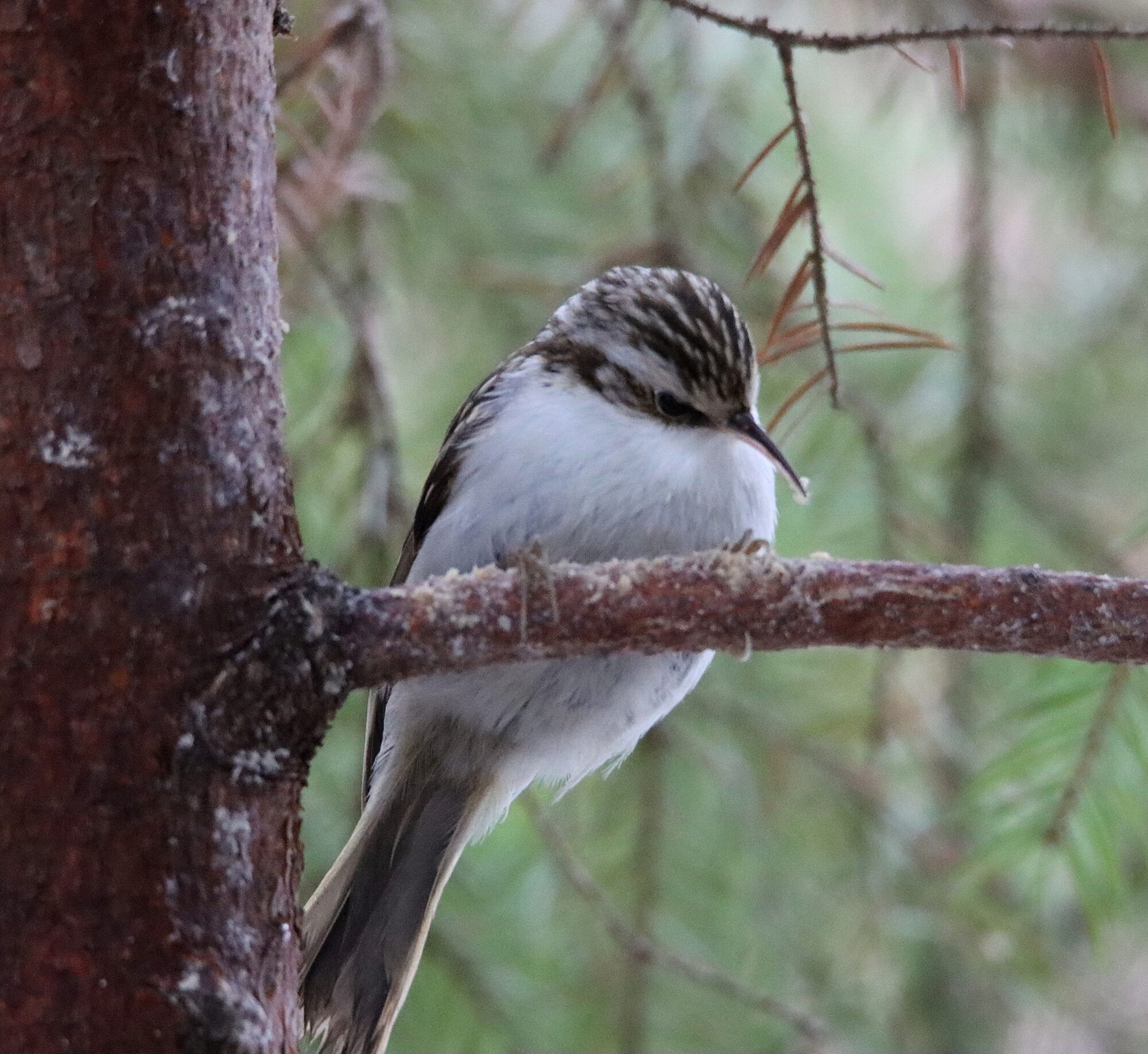 Valokuvaaja: Irja Lehtinen
