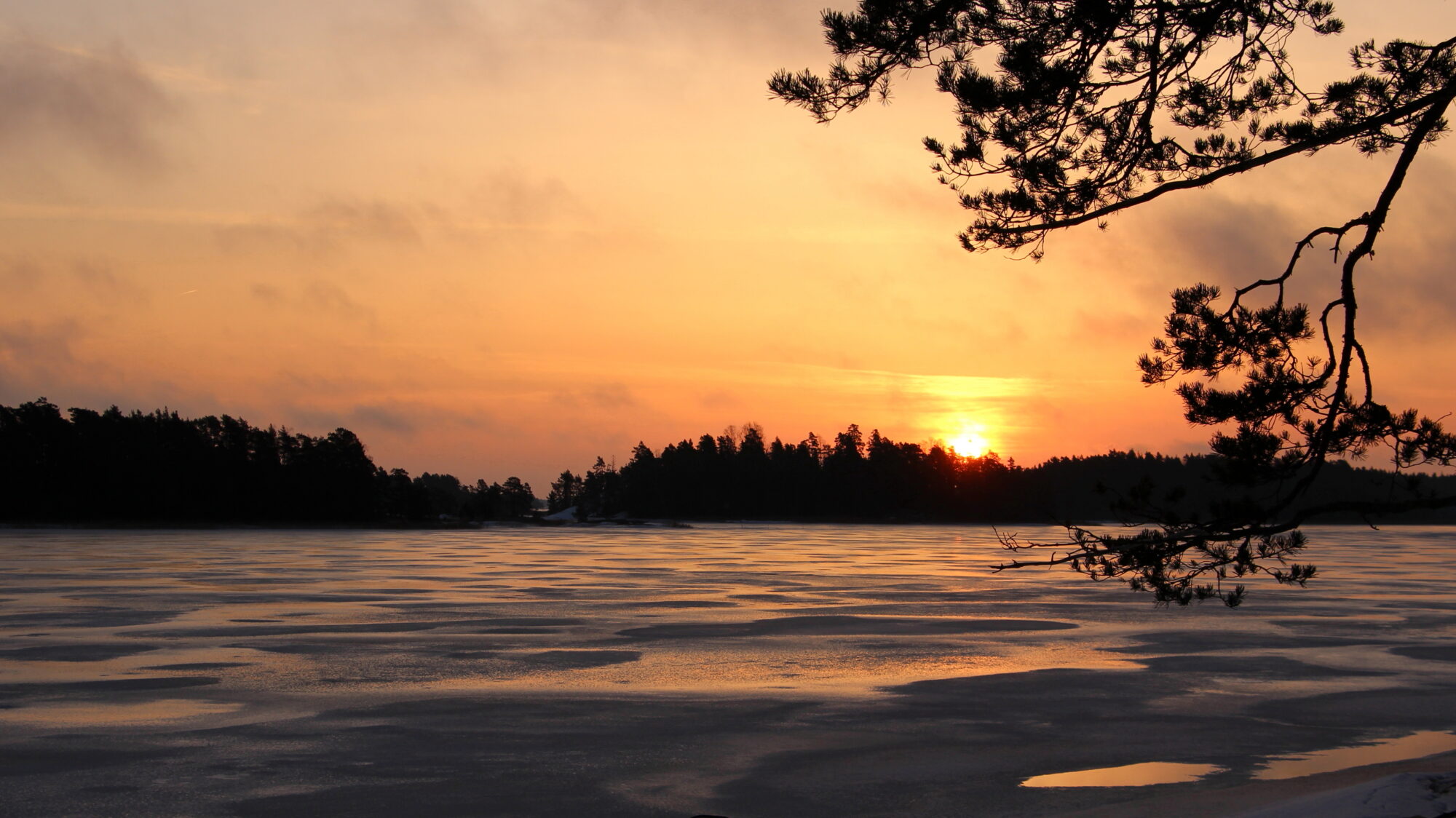 Valokuvaaja: Kirsi-Marja Joenpolvi