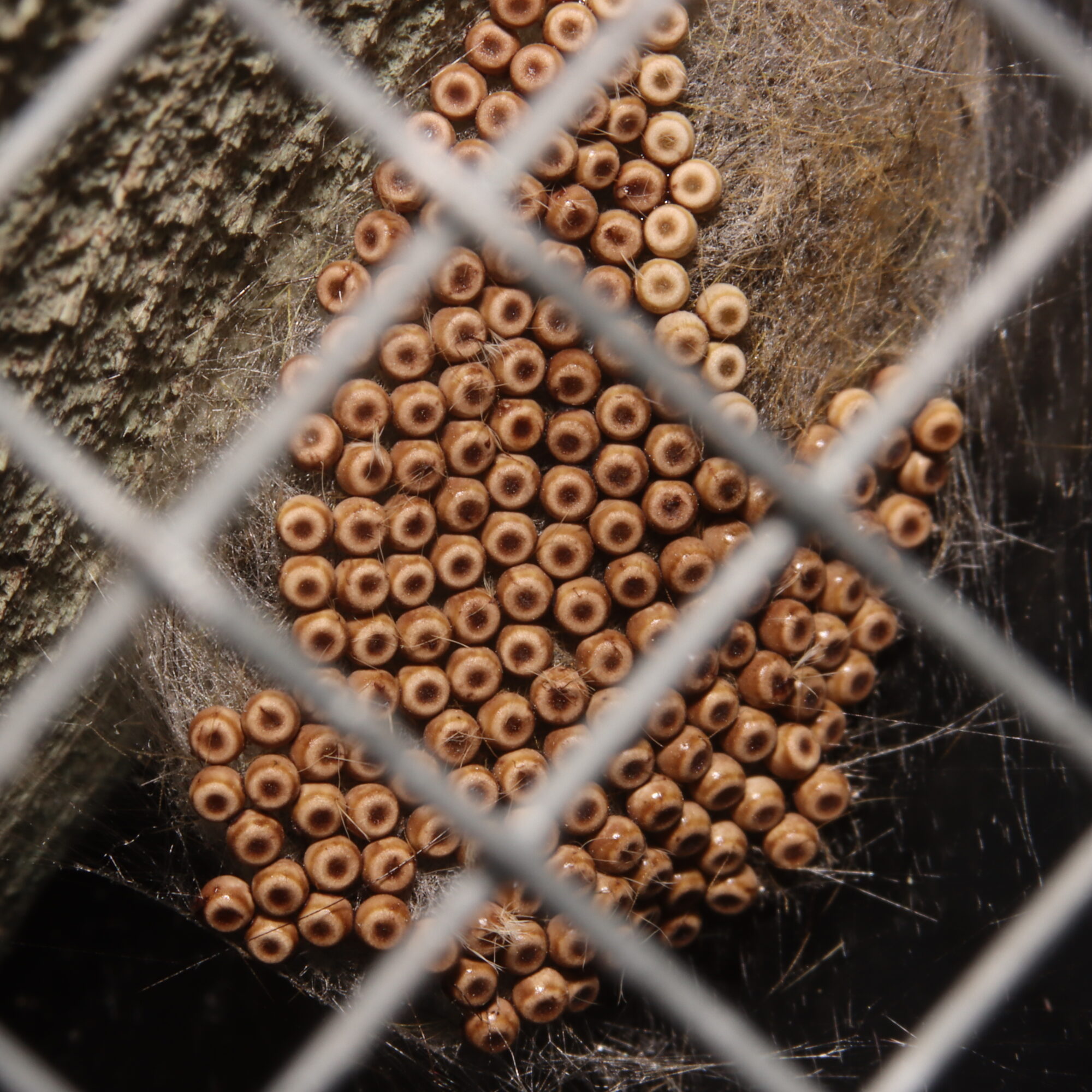 Valokuvaaja: Hannu Rasiranta