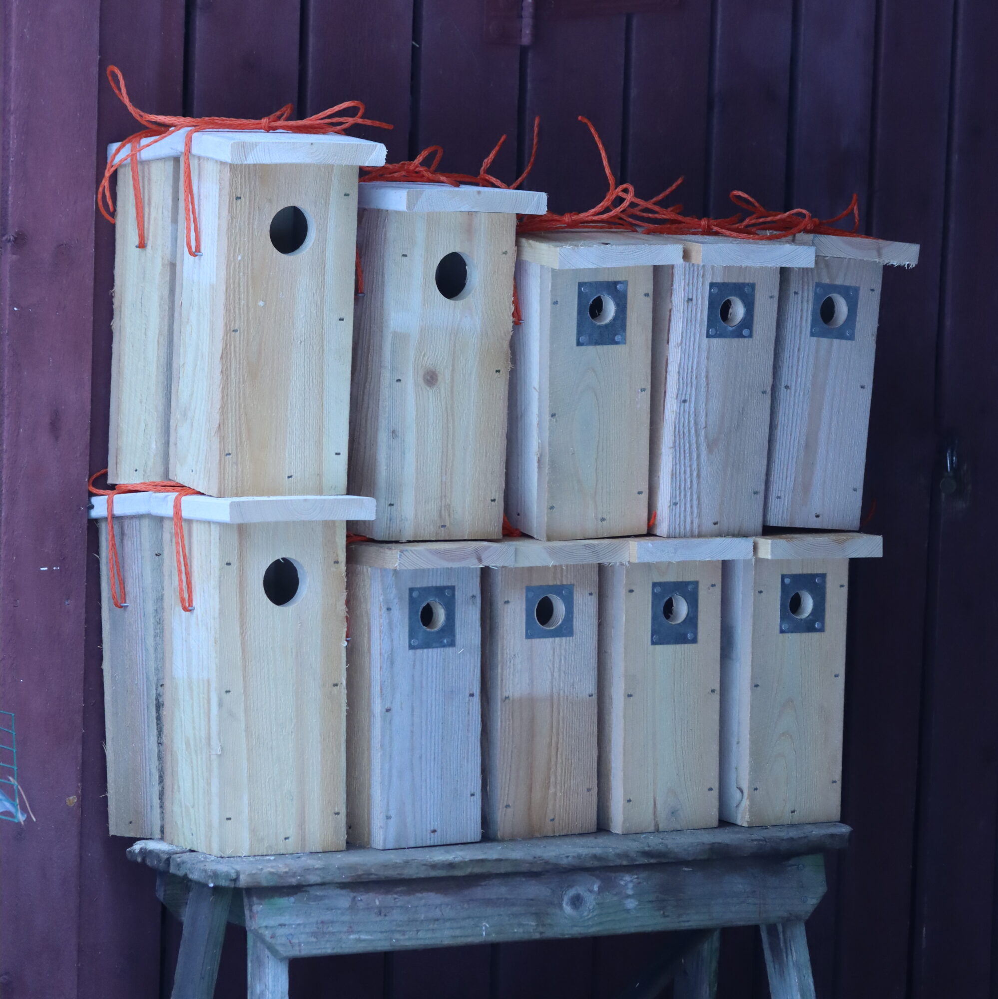 Valokuvaaja: Hannu Rasiranta