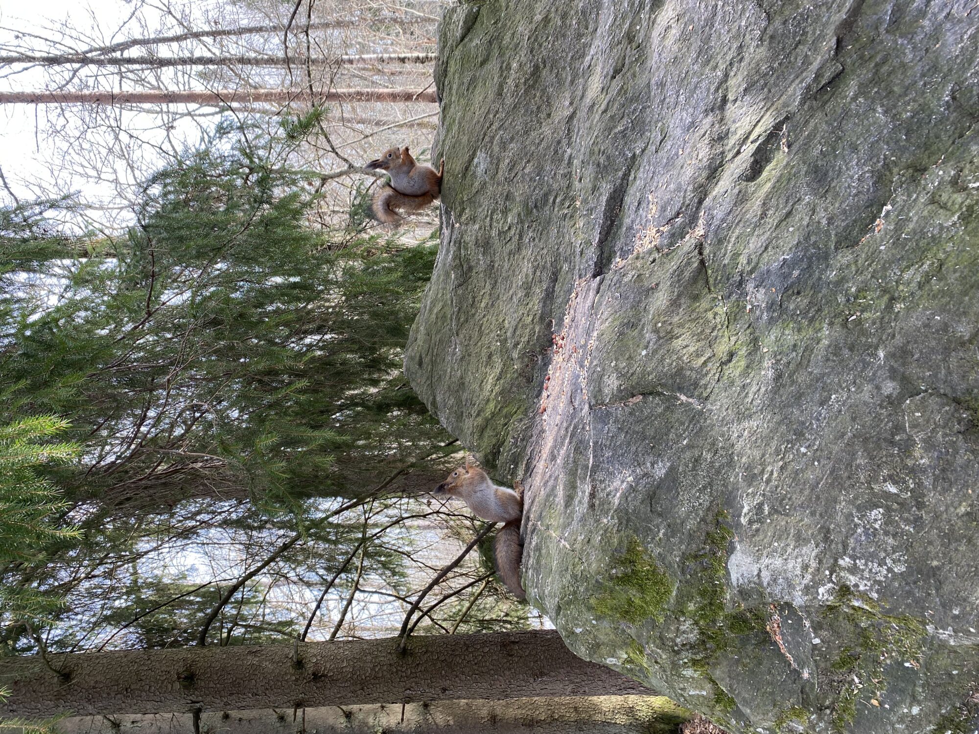 Valokuvaaja: Liisa Ranta