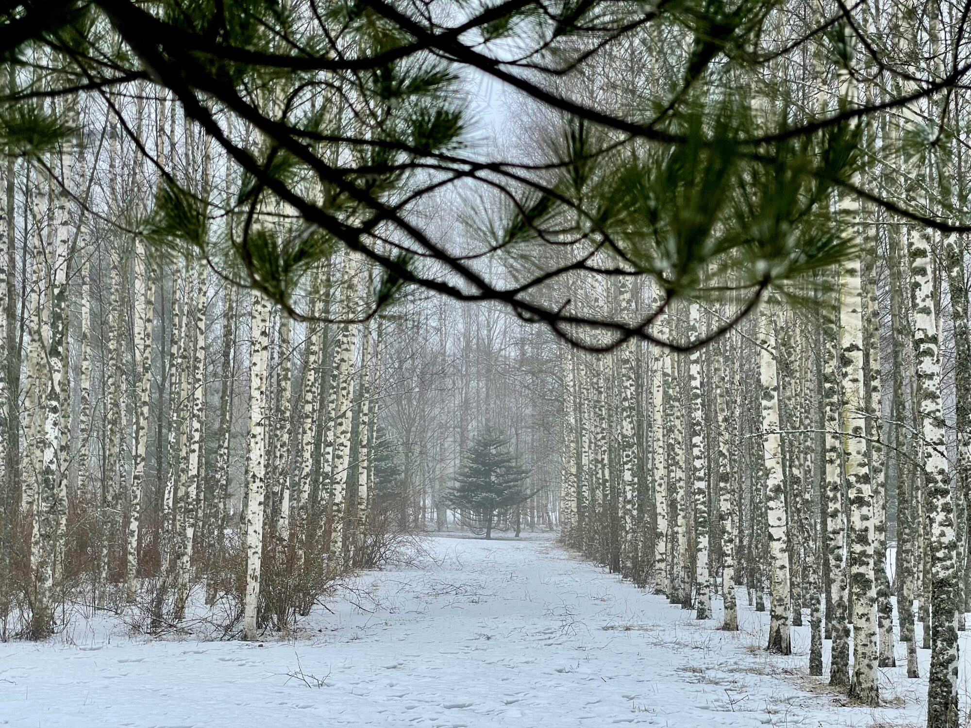 Valokuvaaja: Juhani Peltonen
