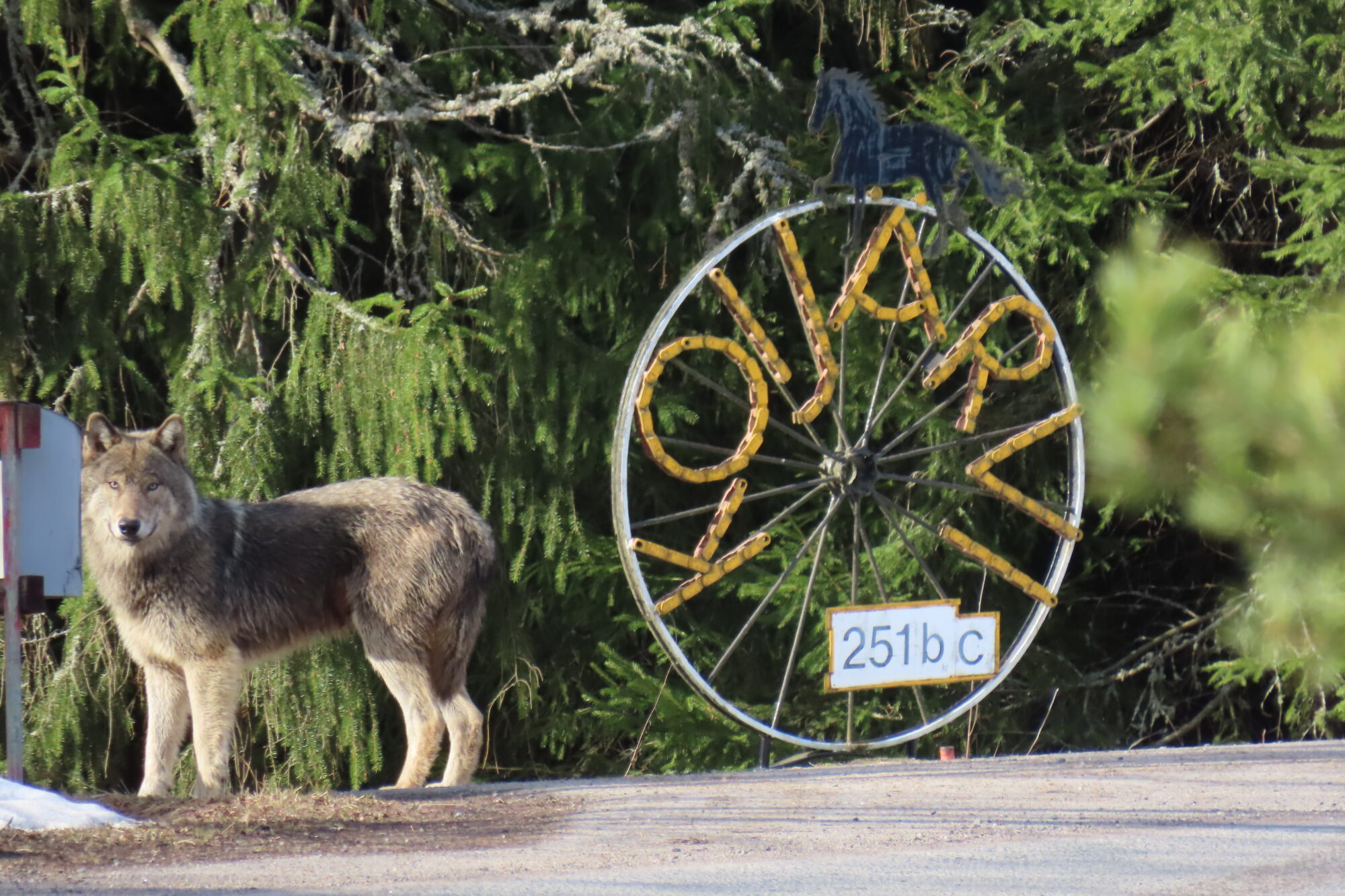 Valokuvaaja: Jari Eeva