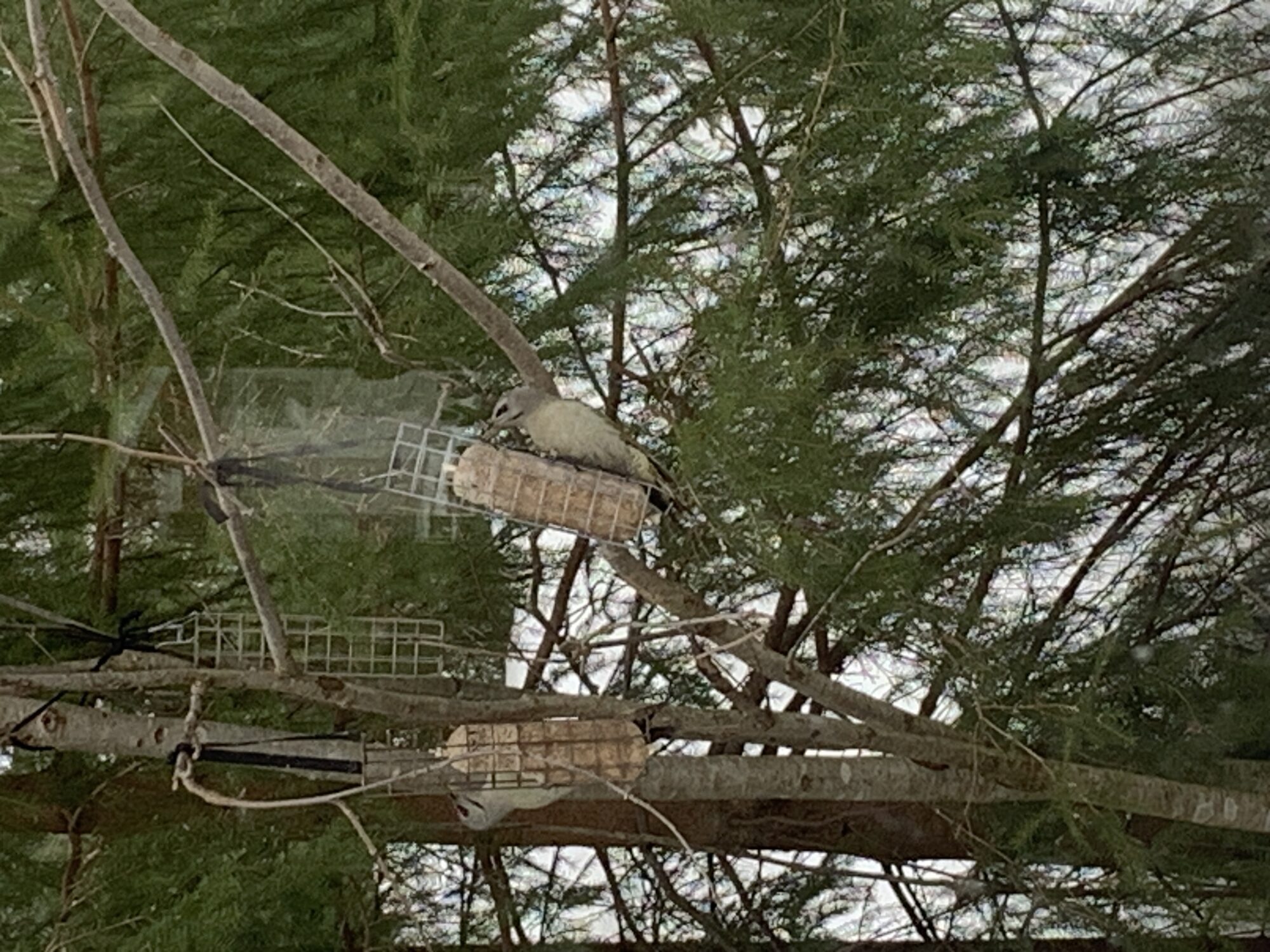 Valokuvaaja: Ritva Mero