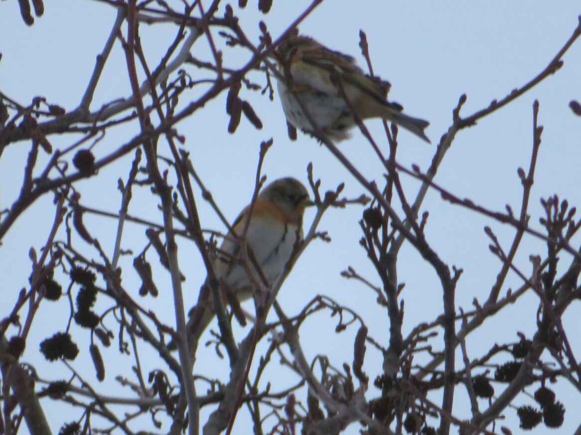 Valokuvaaja: Risto Kangassalo