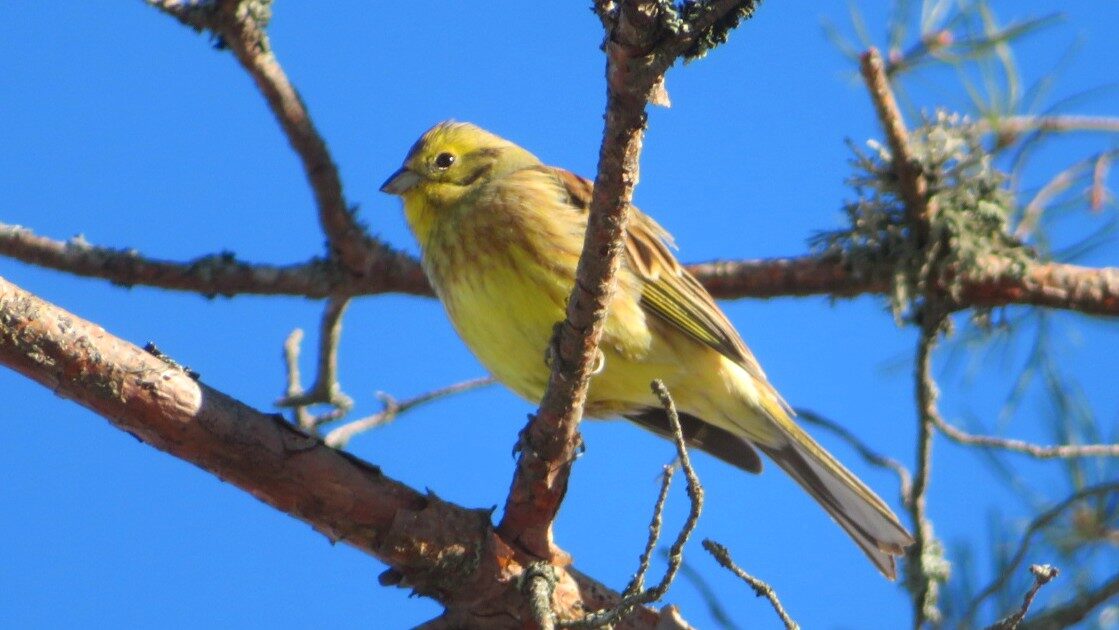 Valokuvaaja: Risto Kangassalo