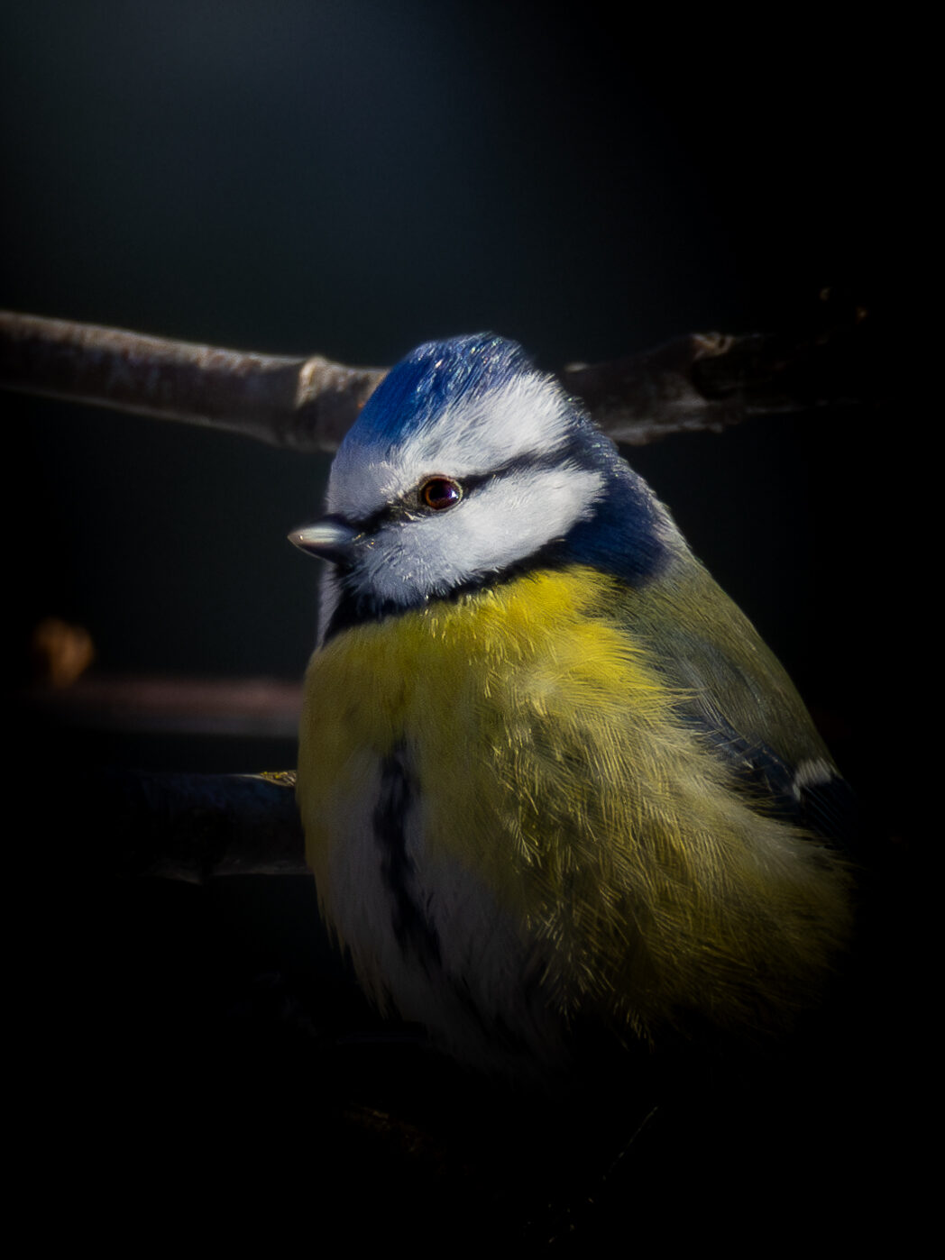 Valokuvaaja: Leevi Halme