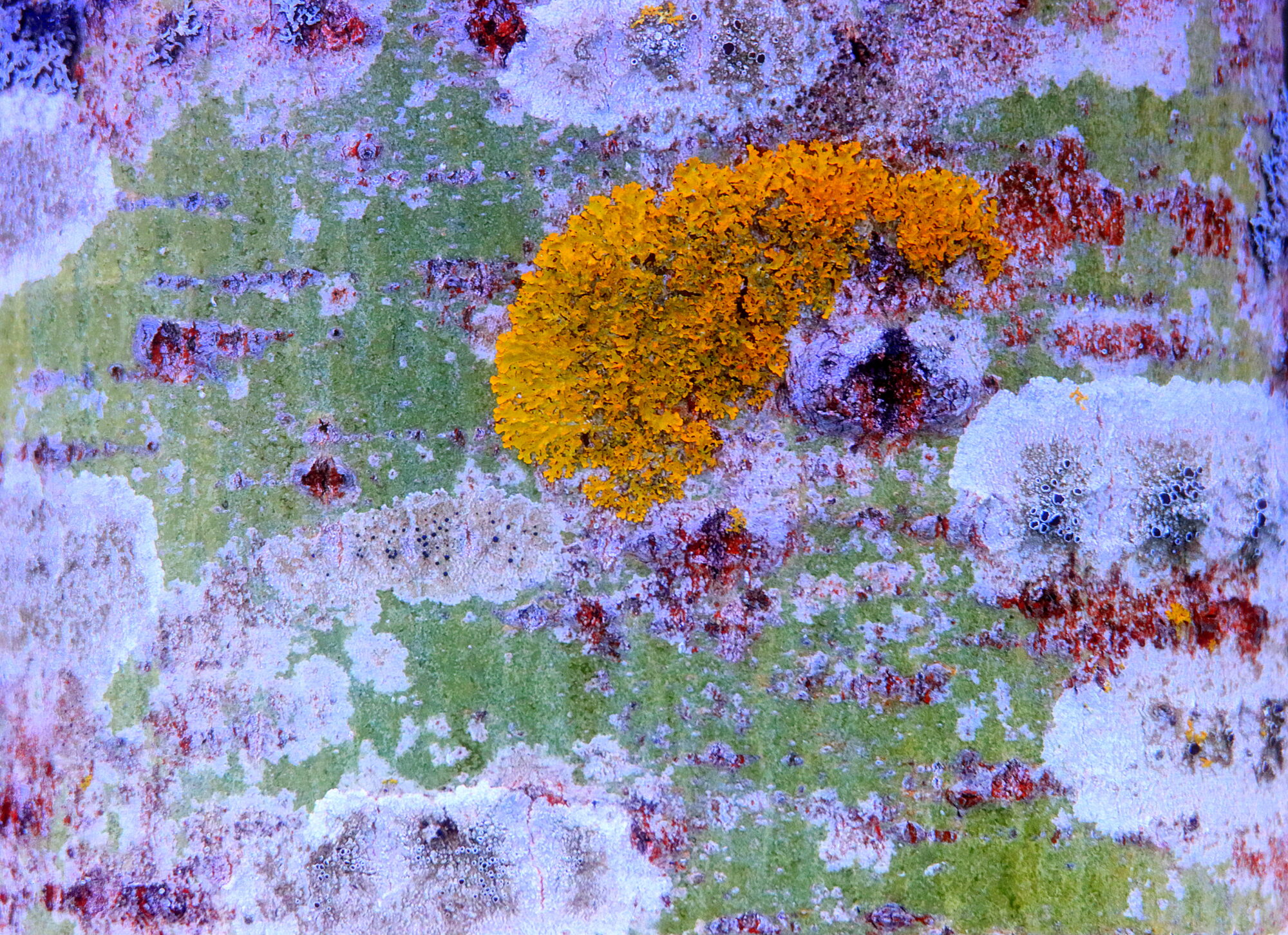 Valokuvaaja: Irja Lehtinen