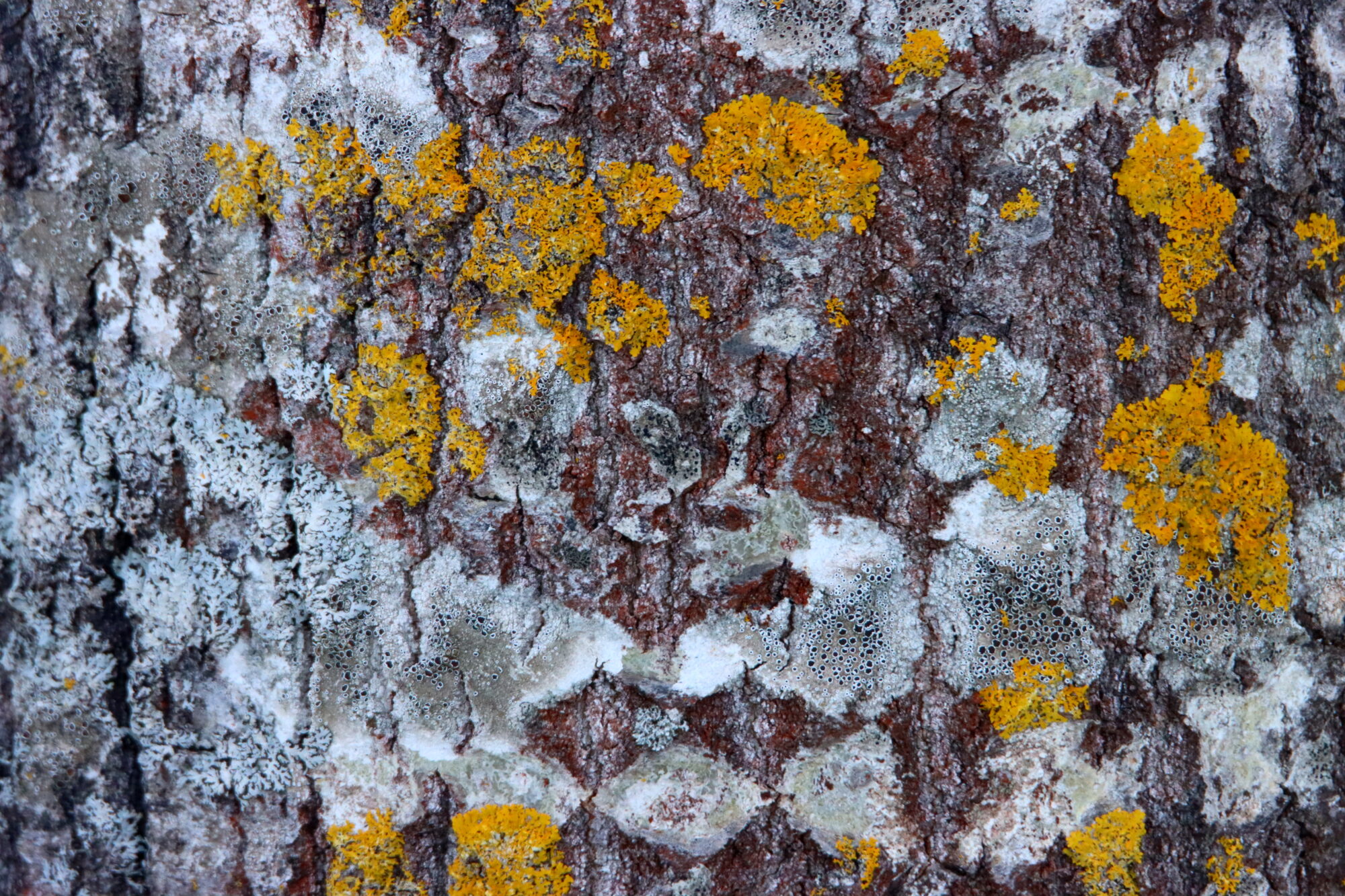 Valokuvaaja: Irja Lehtinen