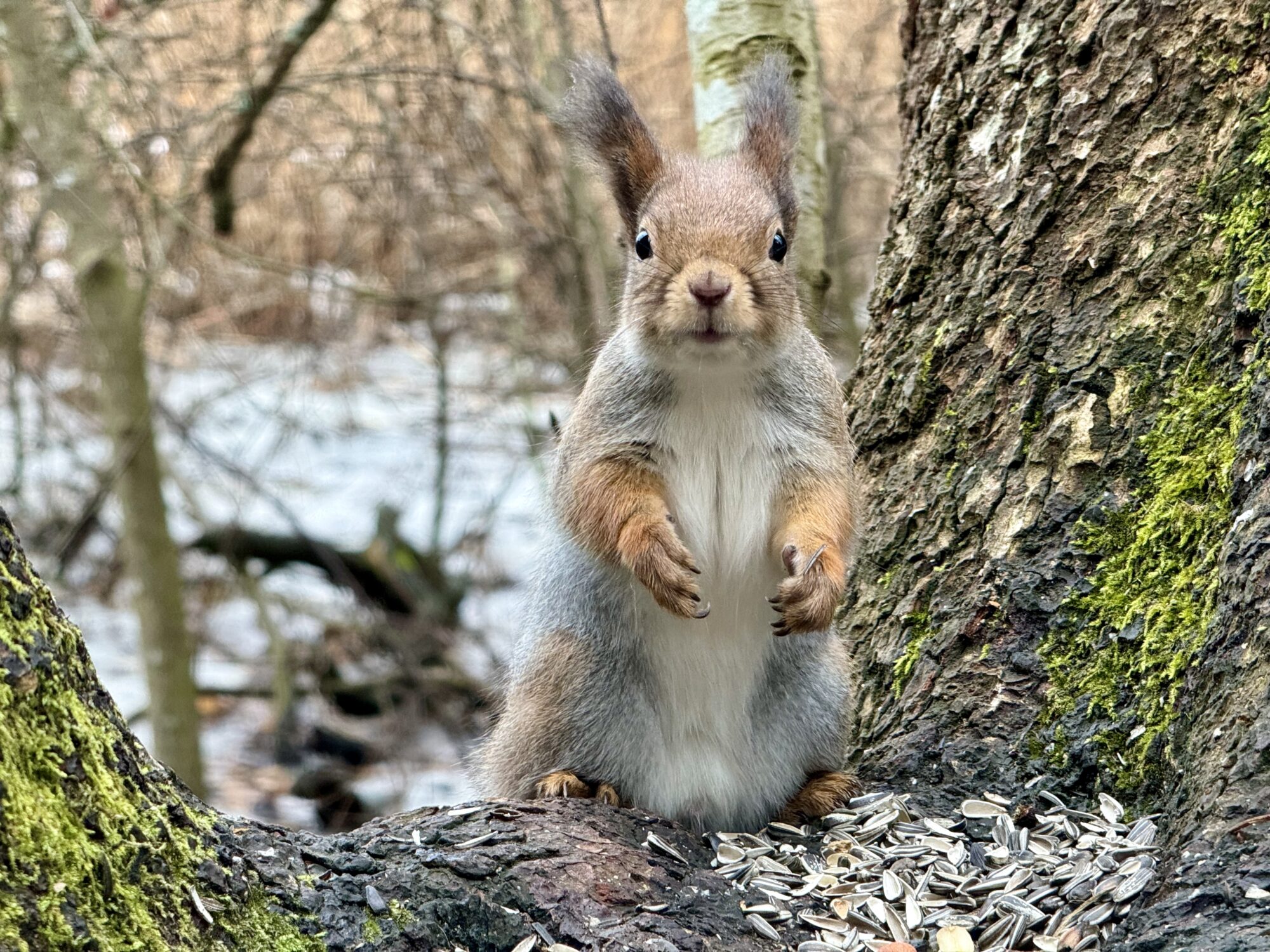 Valokuvaaja: Juhani Peltonen