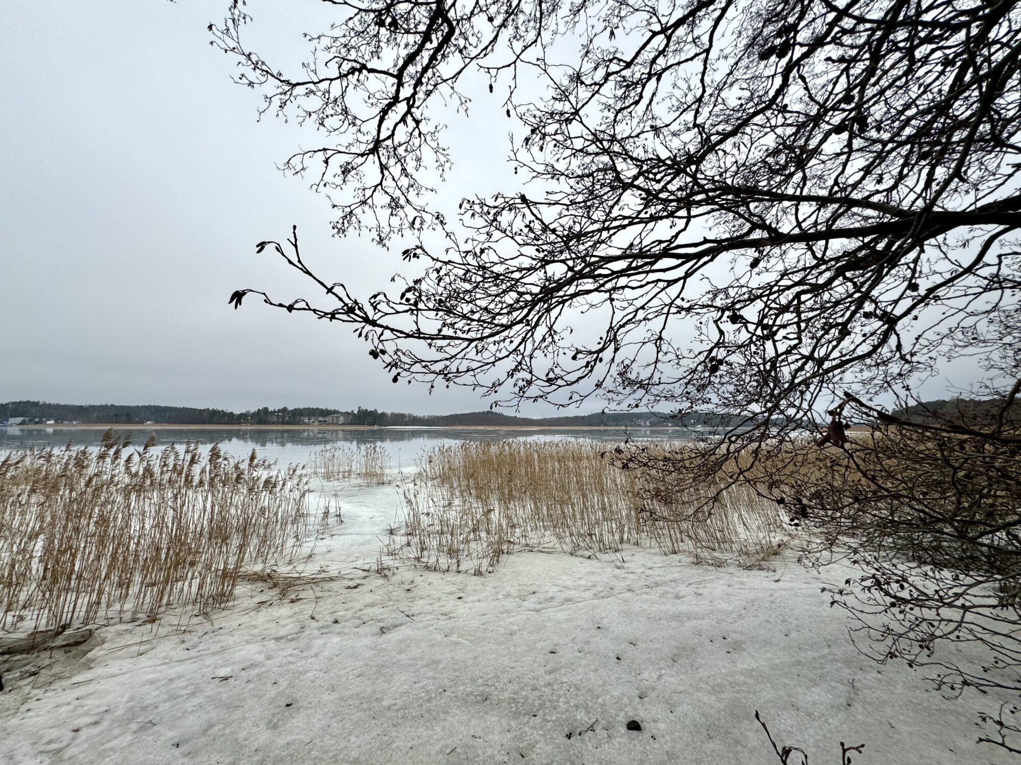 Valokuvaaja: Juhani Peltonen