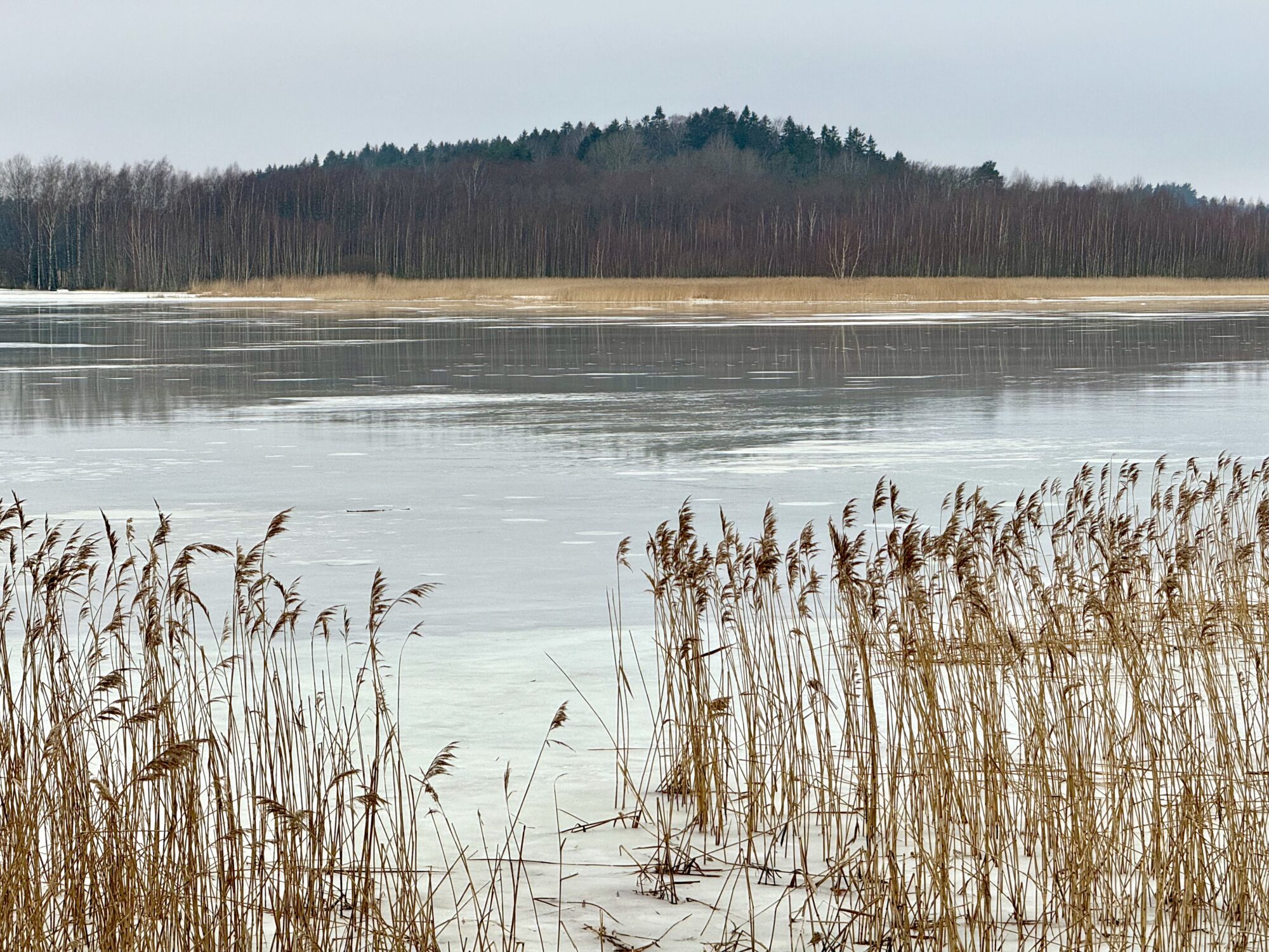 Valokuvaaja: Juhani Peltonen