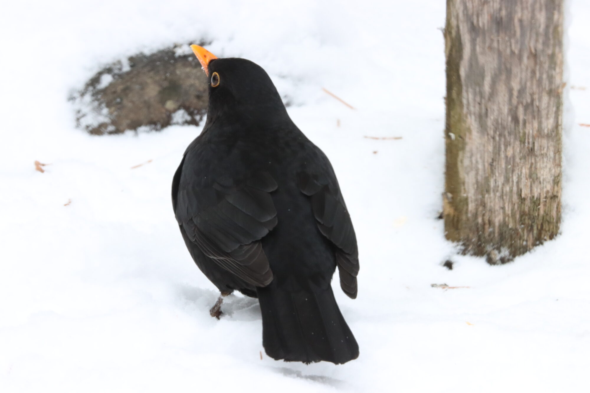 Valokuvaaja: Irja Lehtinen