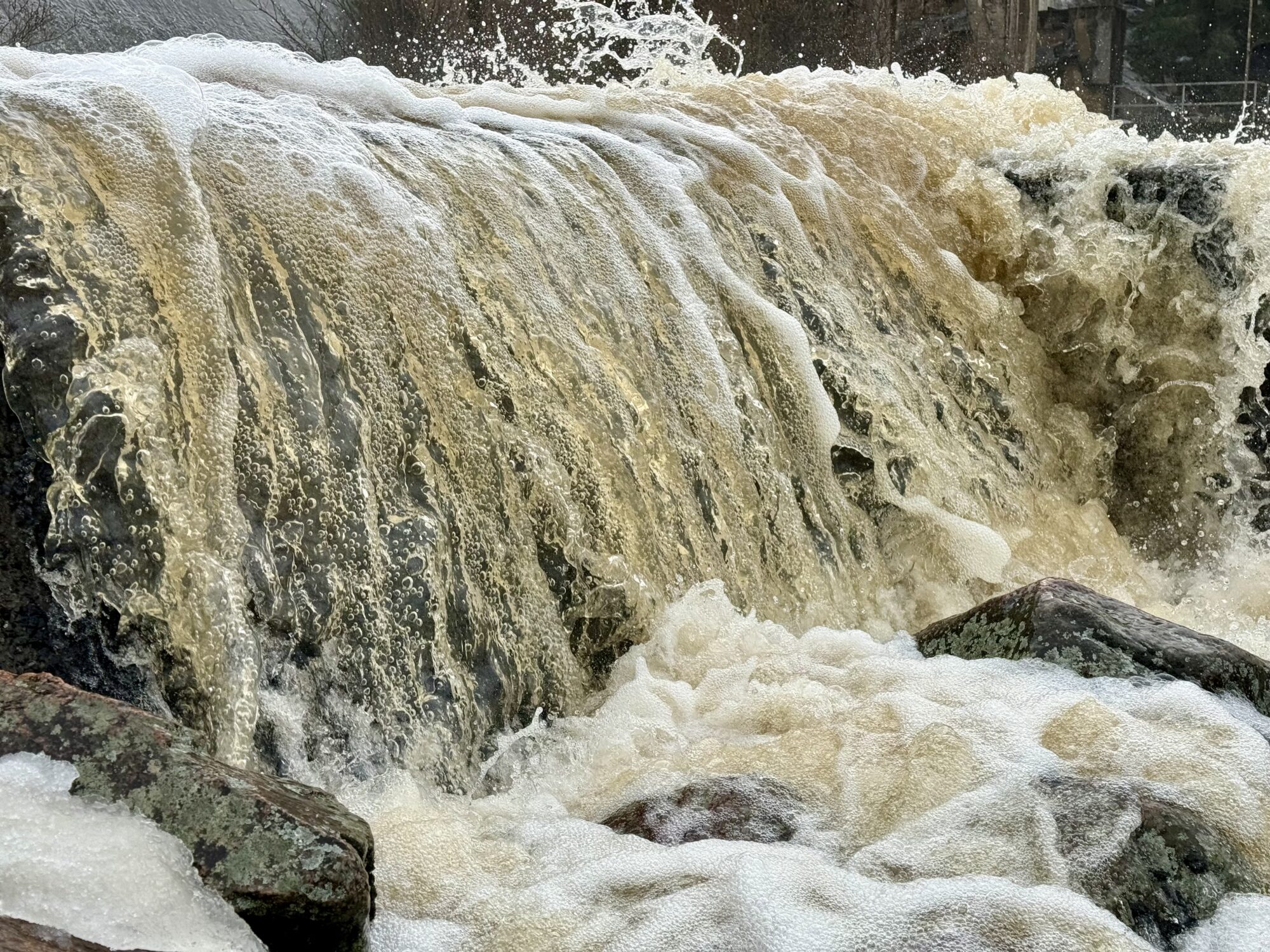 Valokuvaaja: Juhani Peltonen