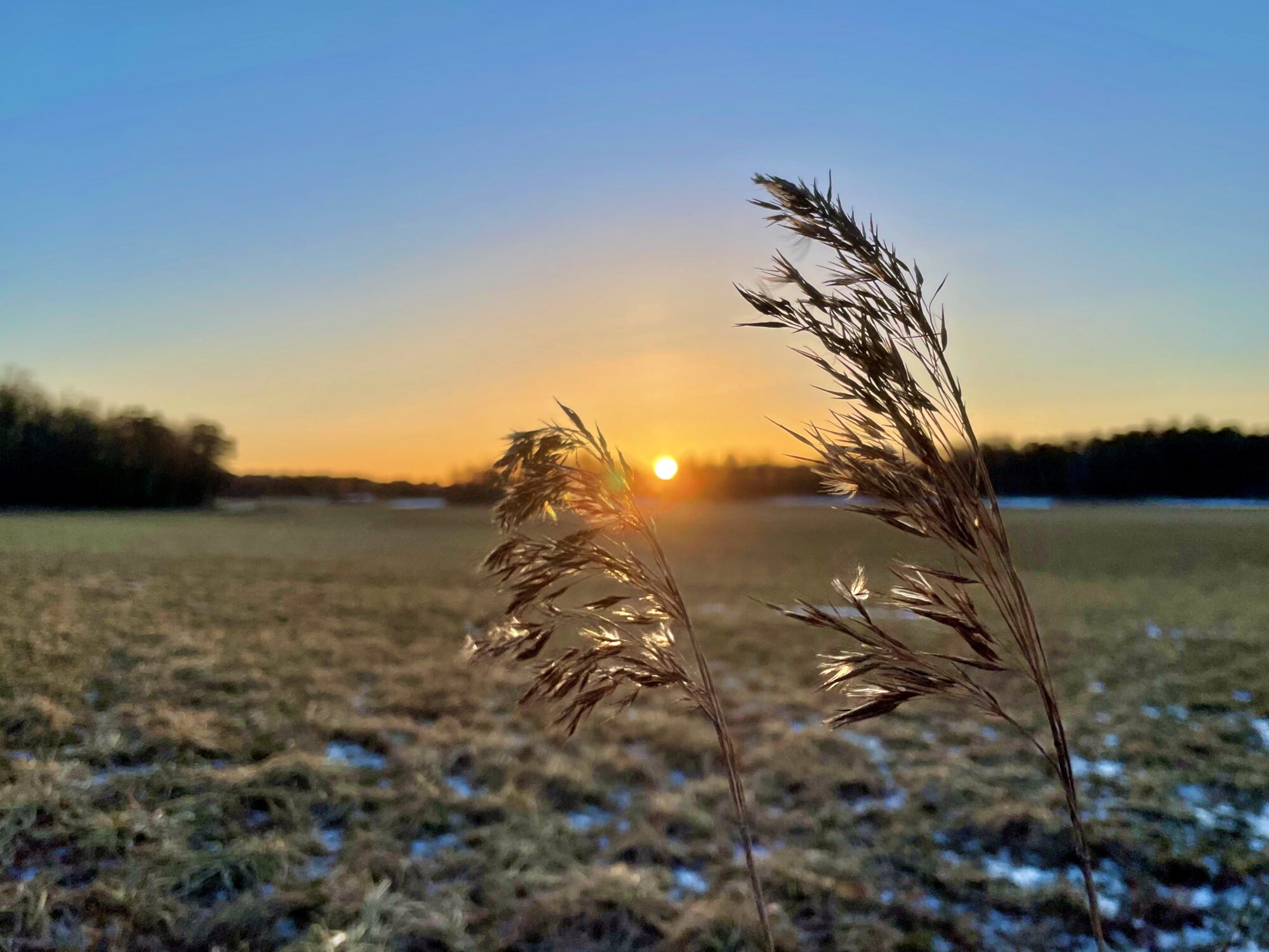 Valokuvaaja: Juhani Peltonen