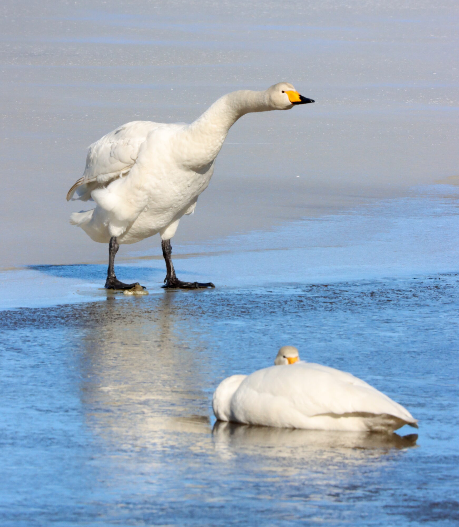 Valokuvaaja: Irja Lehtinen