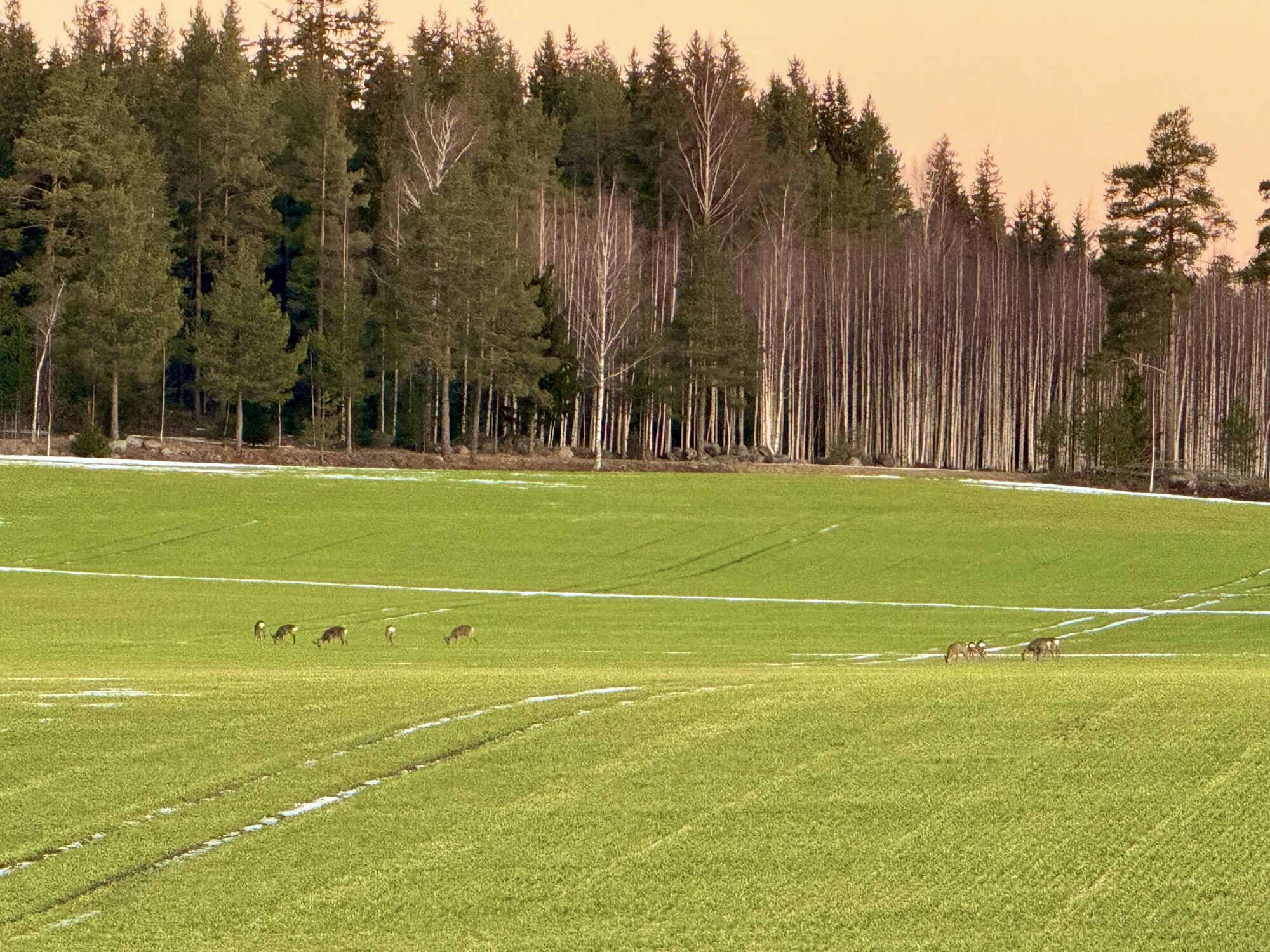 Valokuvaaja: Juhani Peltonen