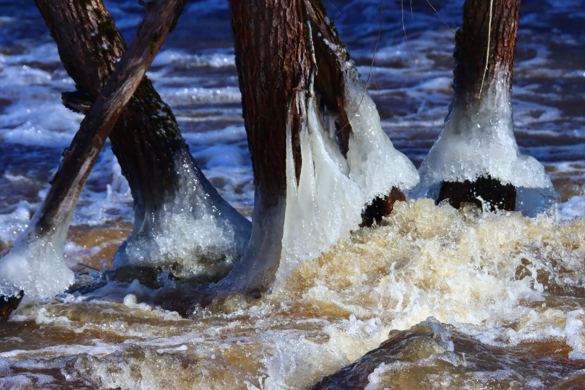 Valokuvaaja: Irja Lehtinen