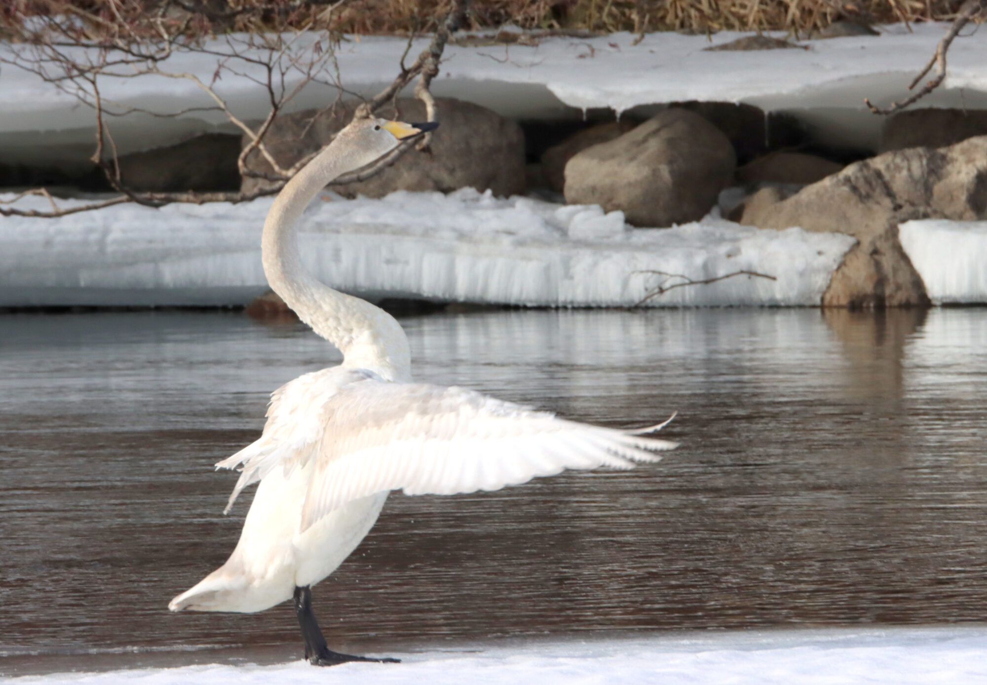 Valokuvaaja: Irja Lehtinen