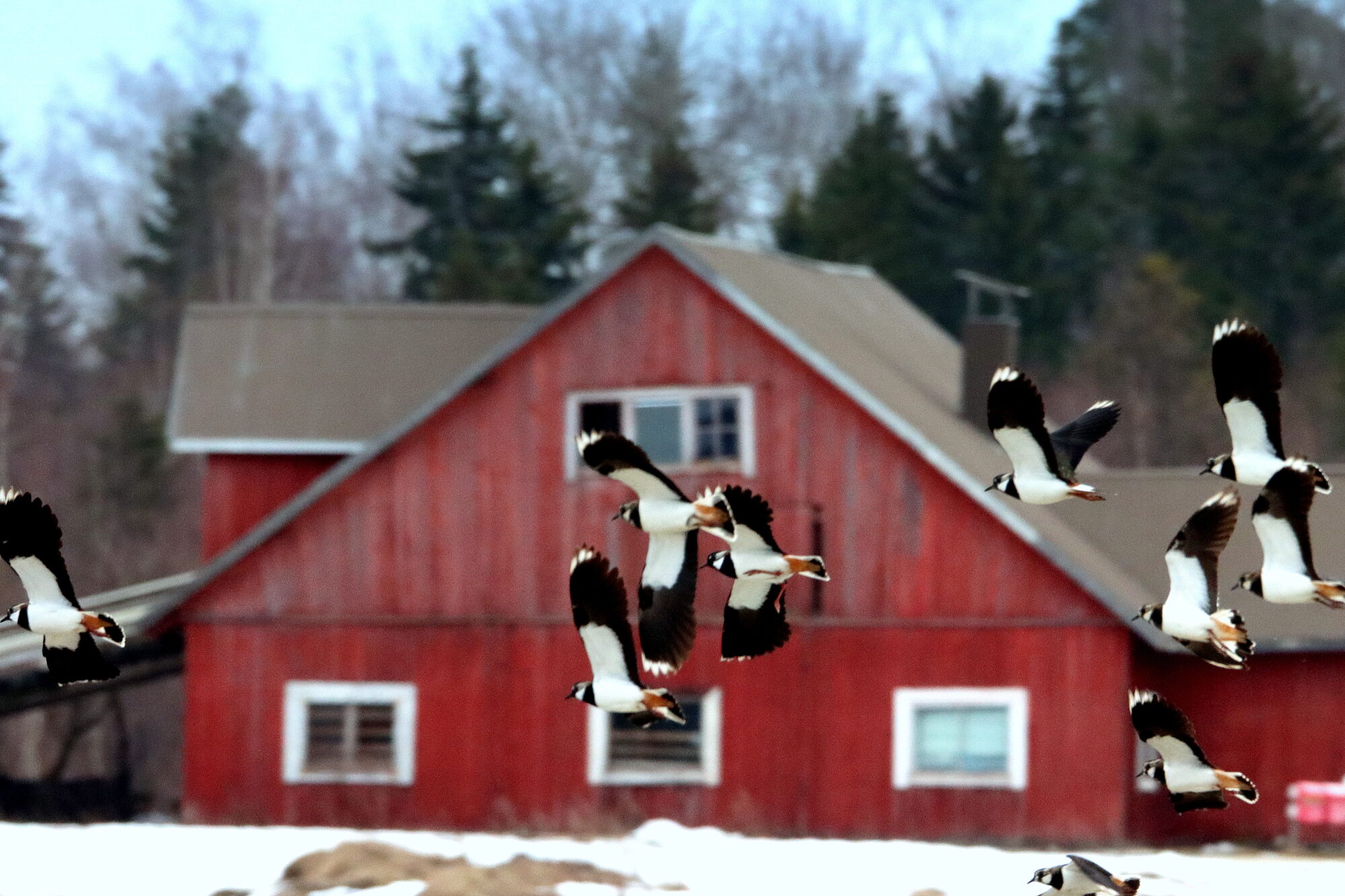 Valokuvaaja: Irja Lehtinen