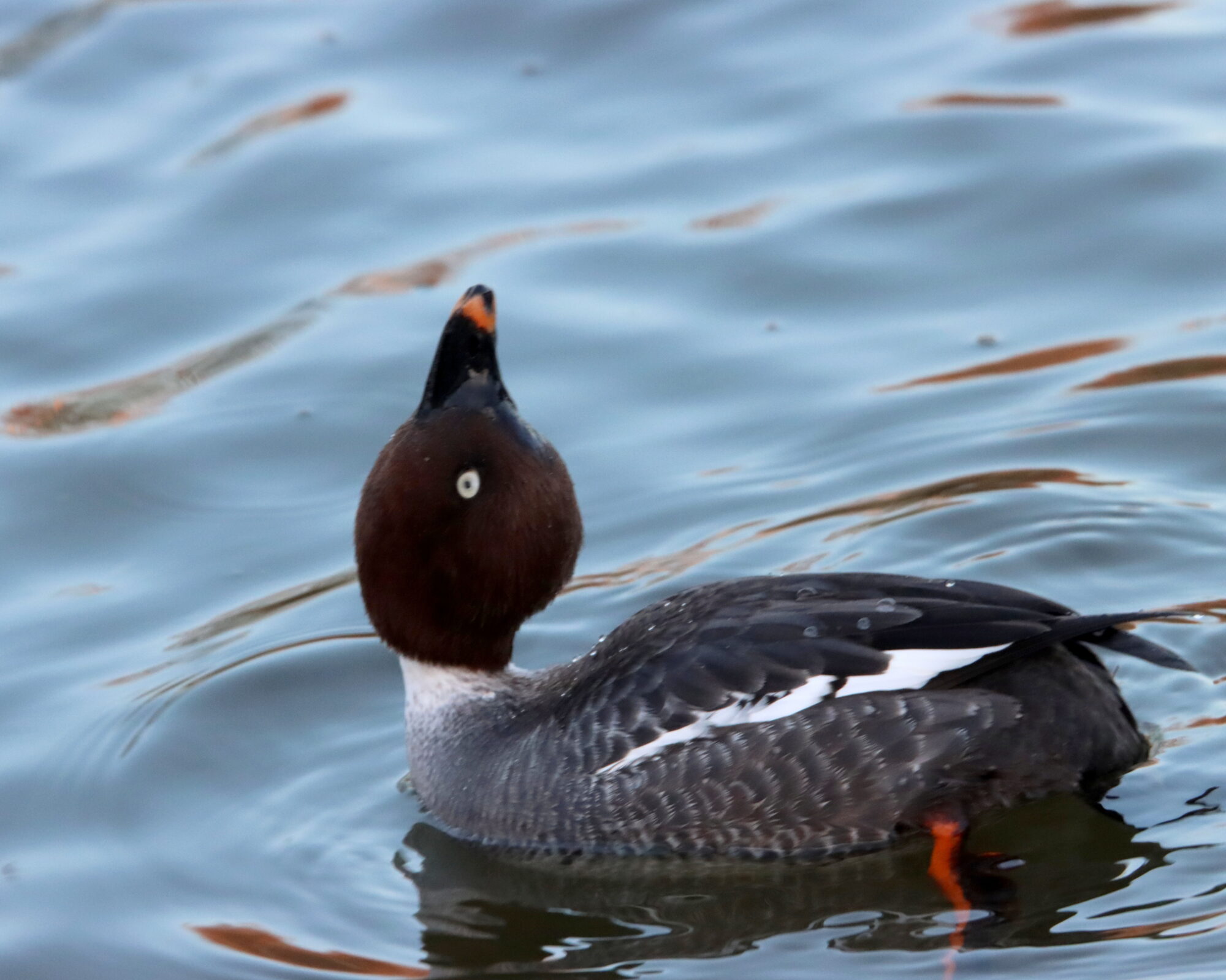 Valokuvaaja: Irja Lehtinen