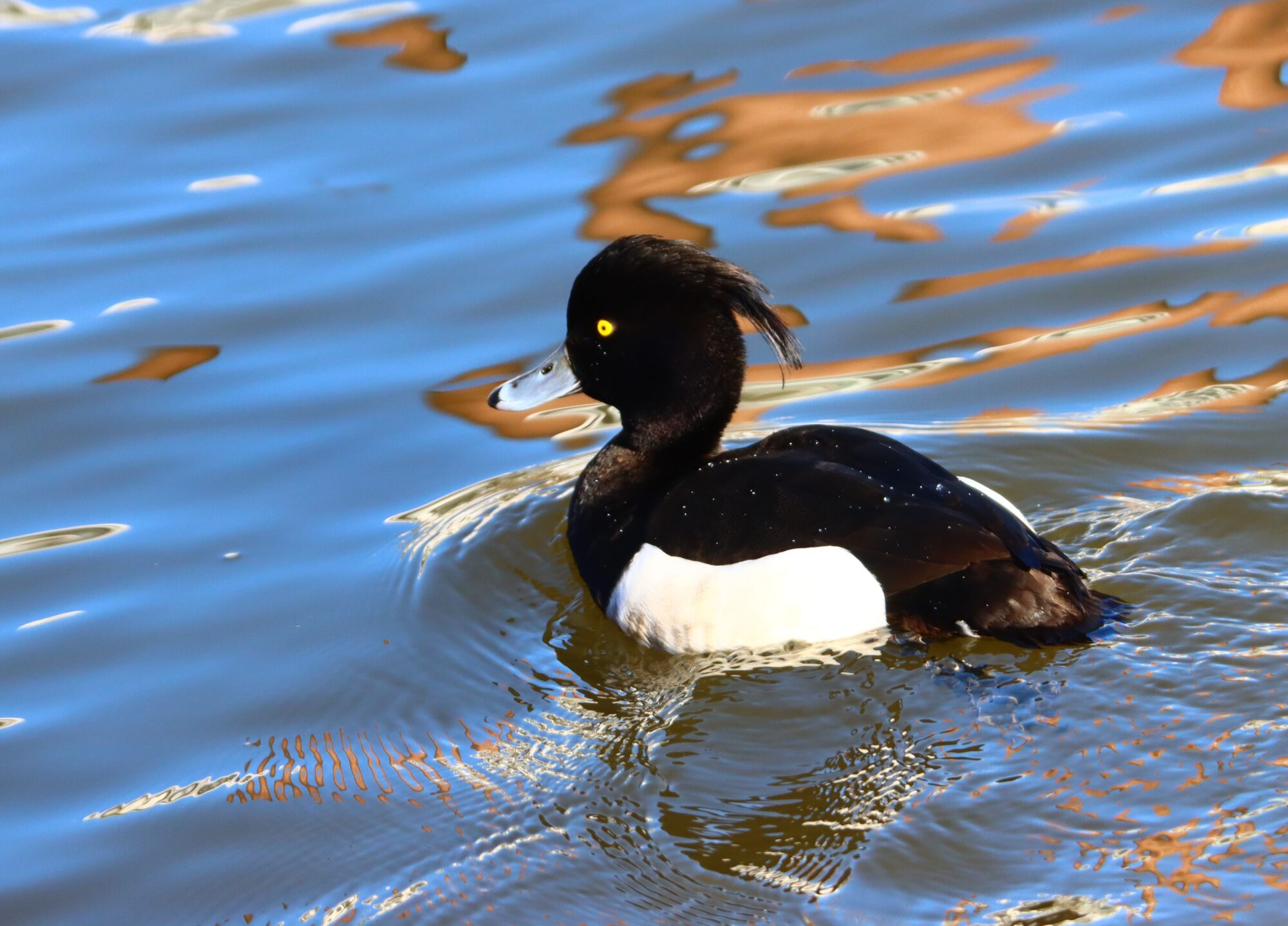 Valokuvaaja: Irja Lehtinen