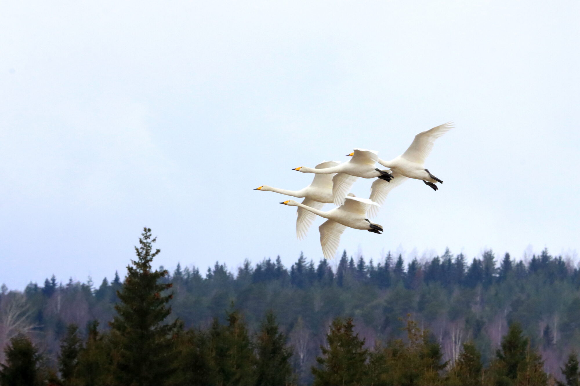Valokuvaaja: Irja Lehtinen