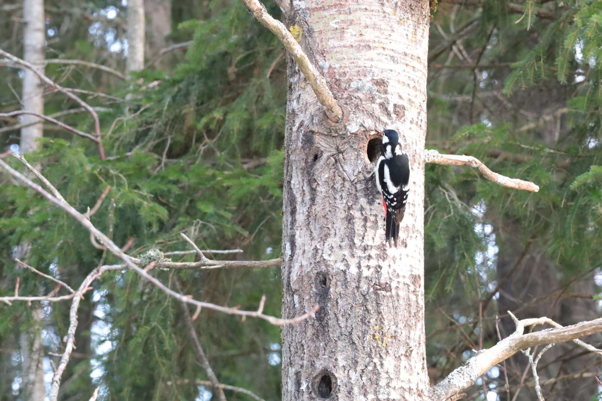 Valokuvaaja: Armi Järvinen
