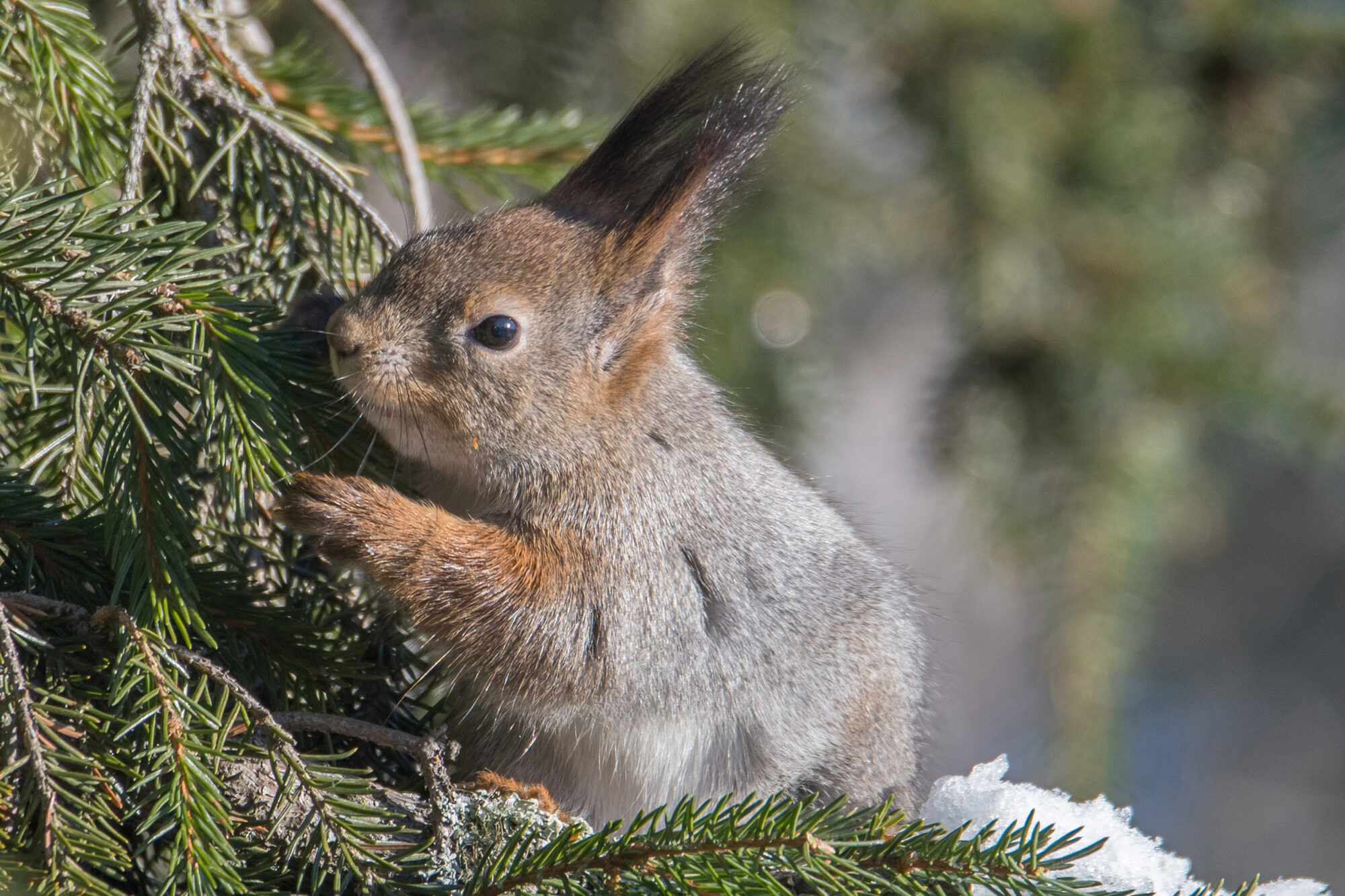 Valokuvaaja: Päivi Mustonen