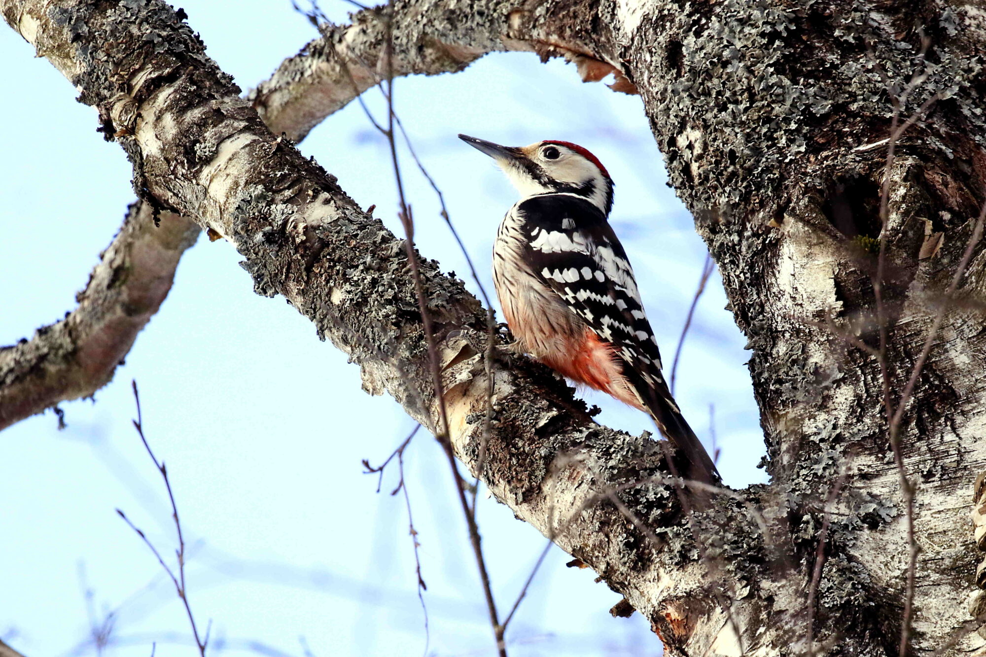 Valokuvaaja: Antero Tykkyläinen
