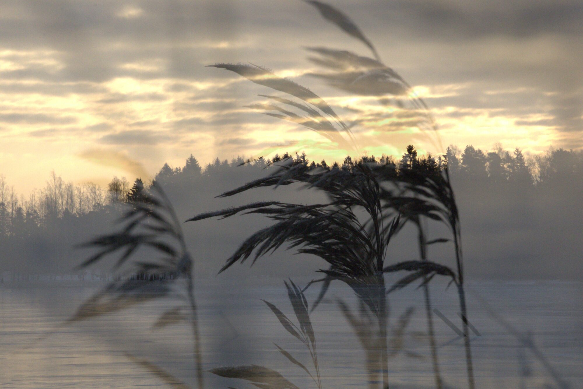 Valokuvaaja: Armi Järvinen