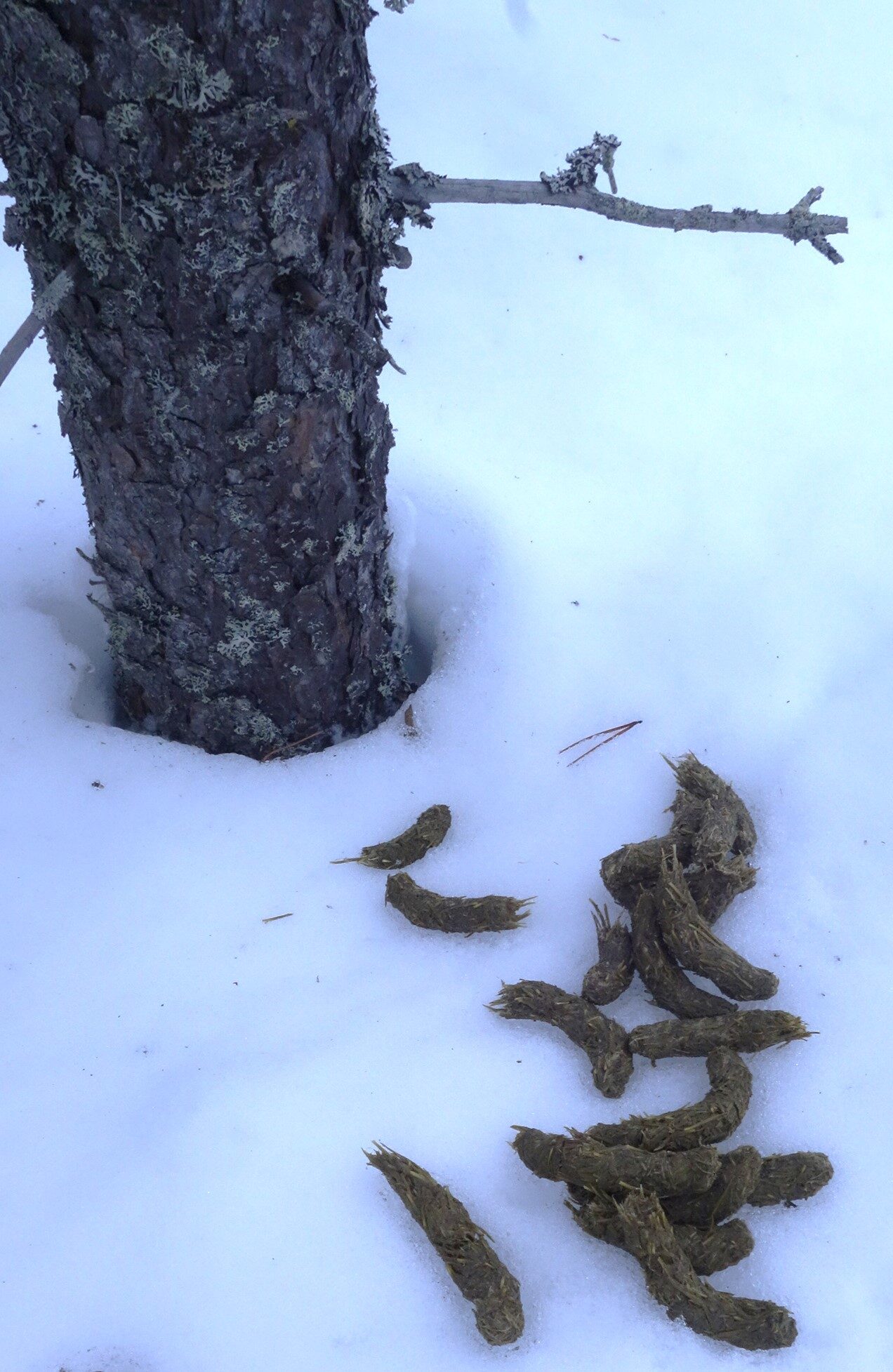 Valokuvaaja: Kaarina Heiskanen