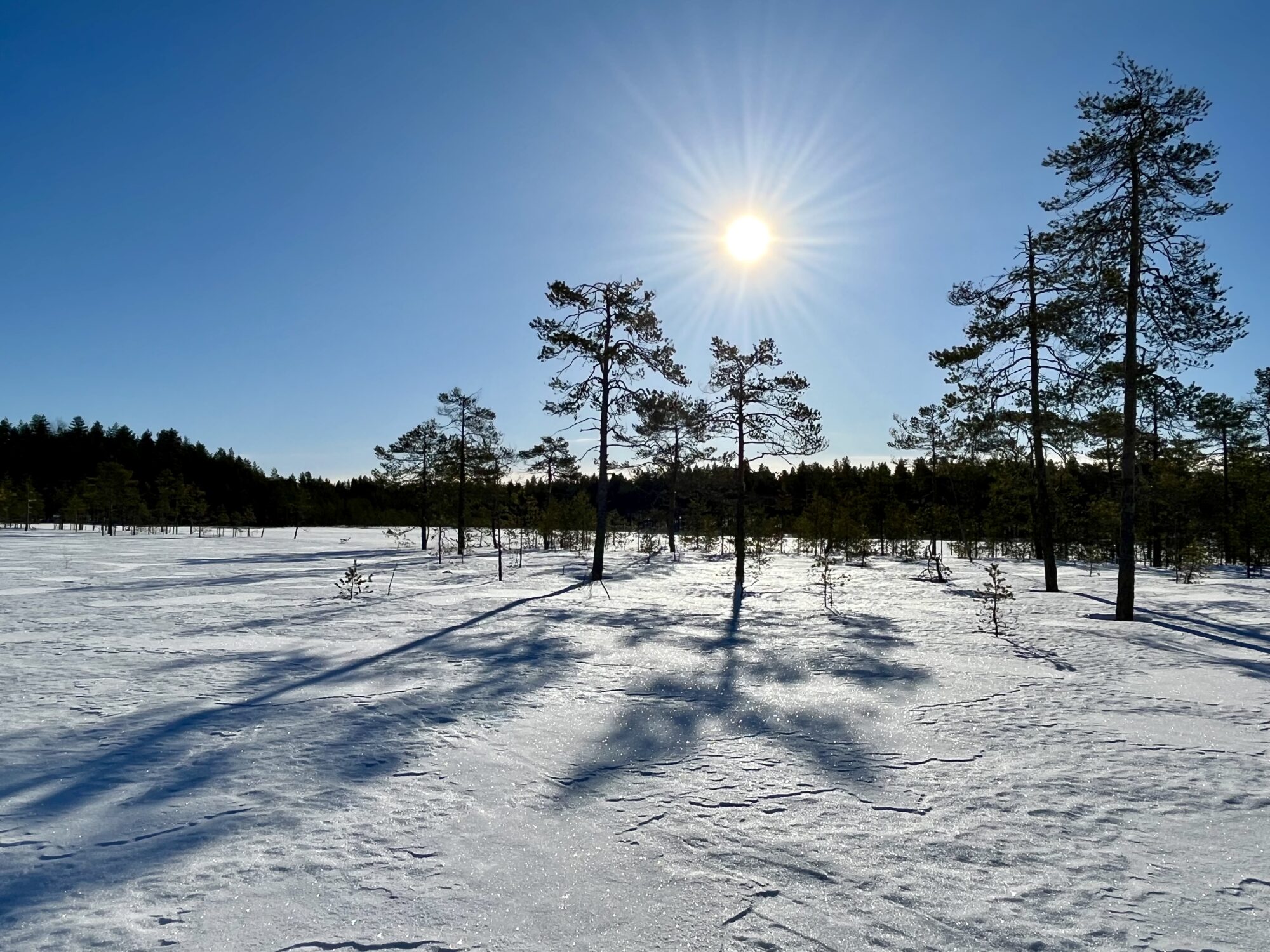 Valokuvaaja: Tuukka Pahtamaa