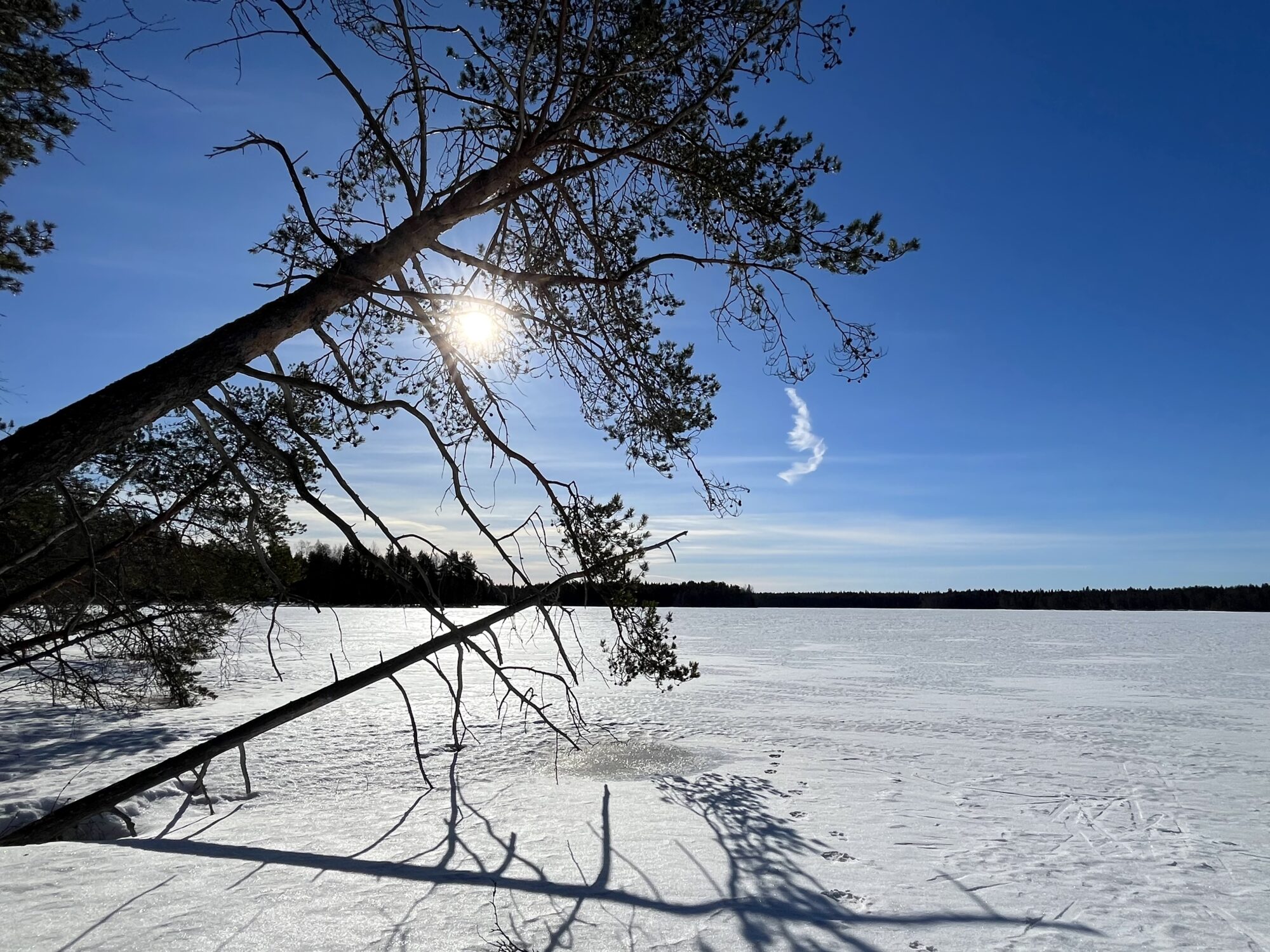 Valokuvaaja: Tuukka Pahtamaa