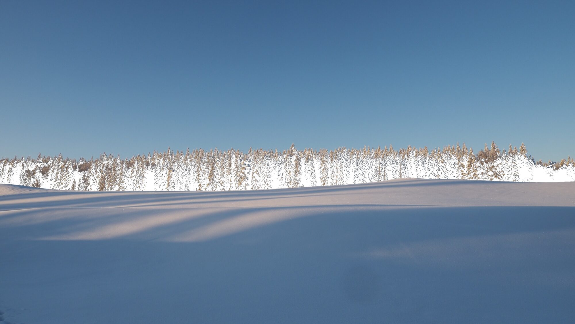 Valokuvaaja: Arja Valtonen