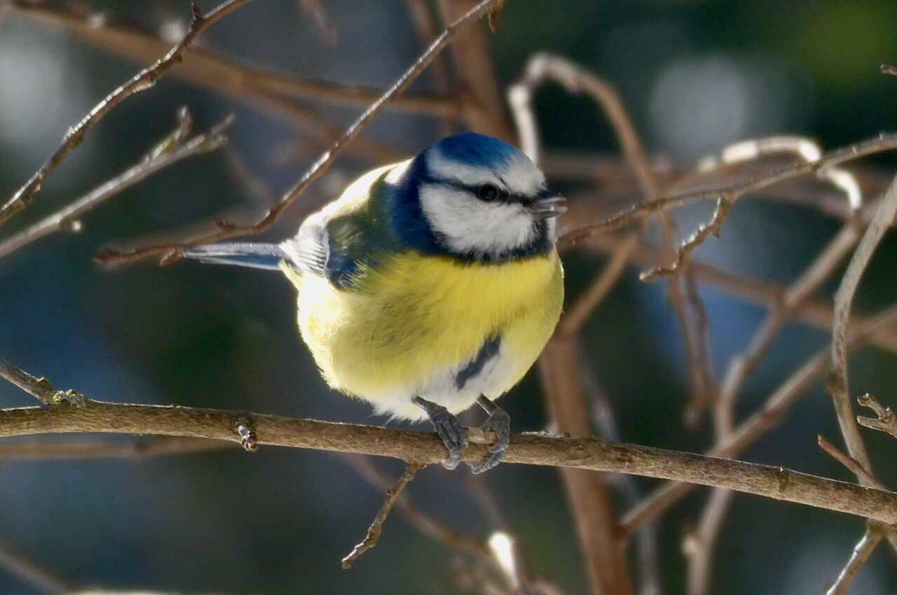 Valokuvaaja: Liisa Niiva-Korpela