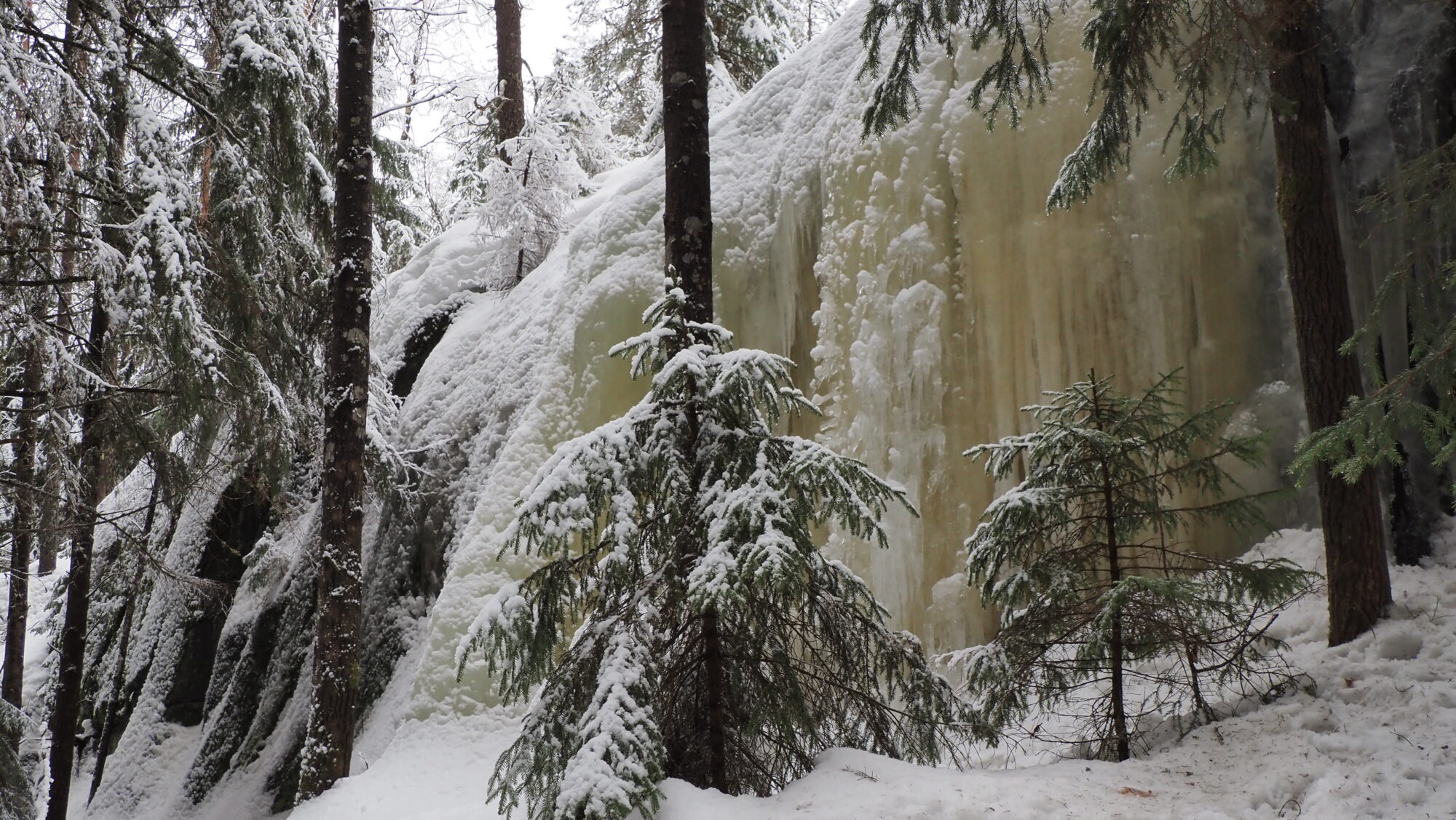 Valokuvaaja: Arja Valtonen