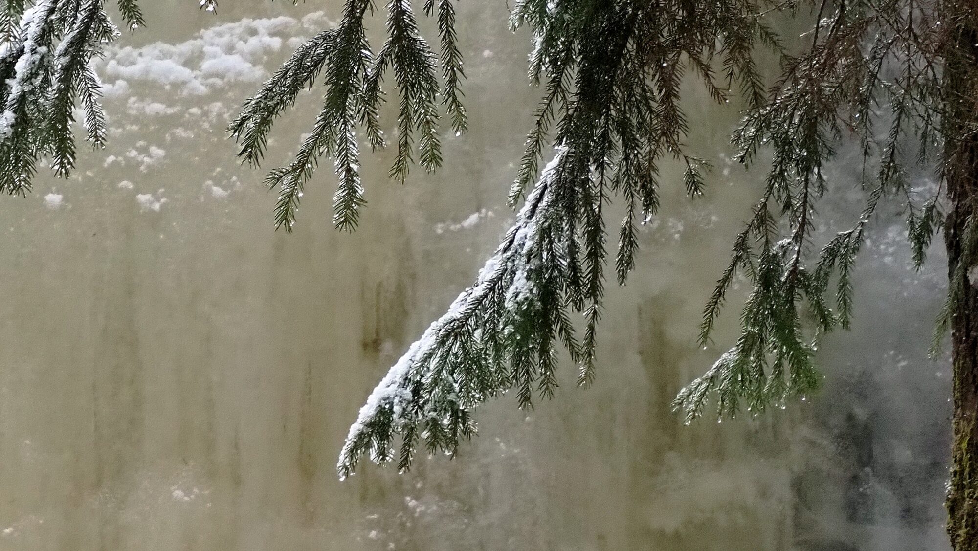 Valokuvaaja: Arja Valtonen