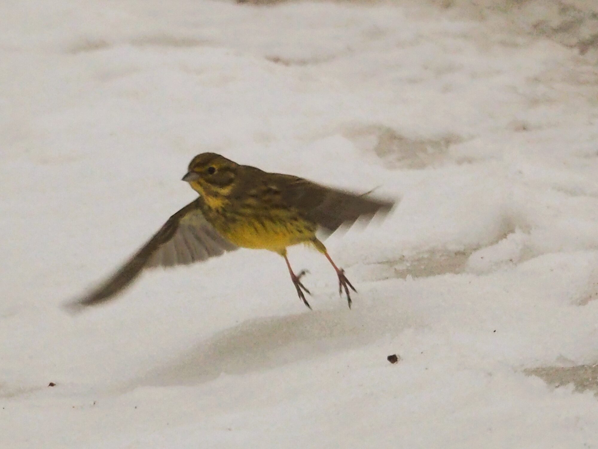 Valokuvaaja: Martti Valtonen