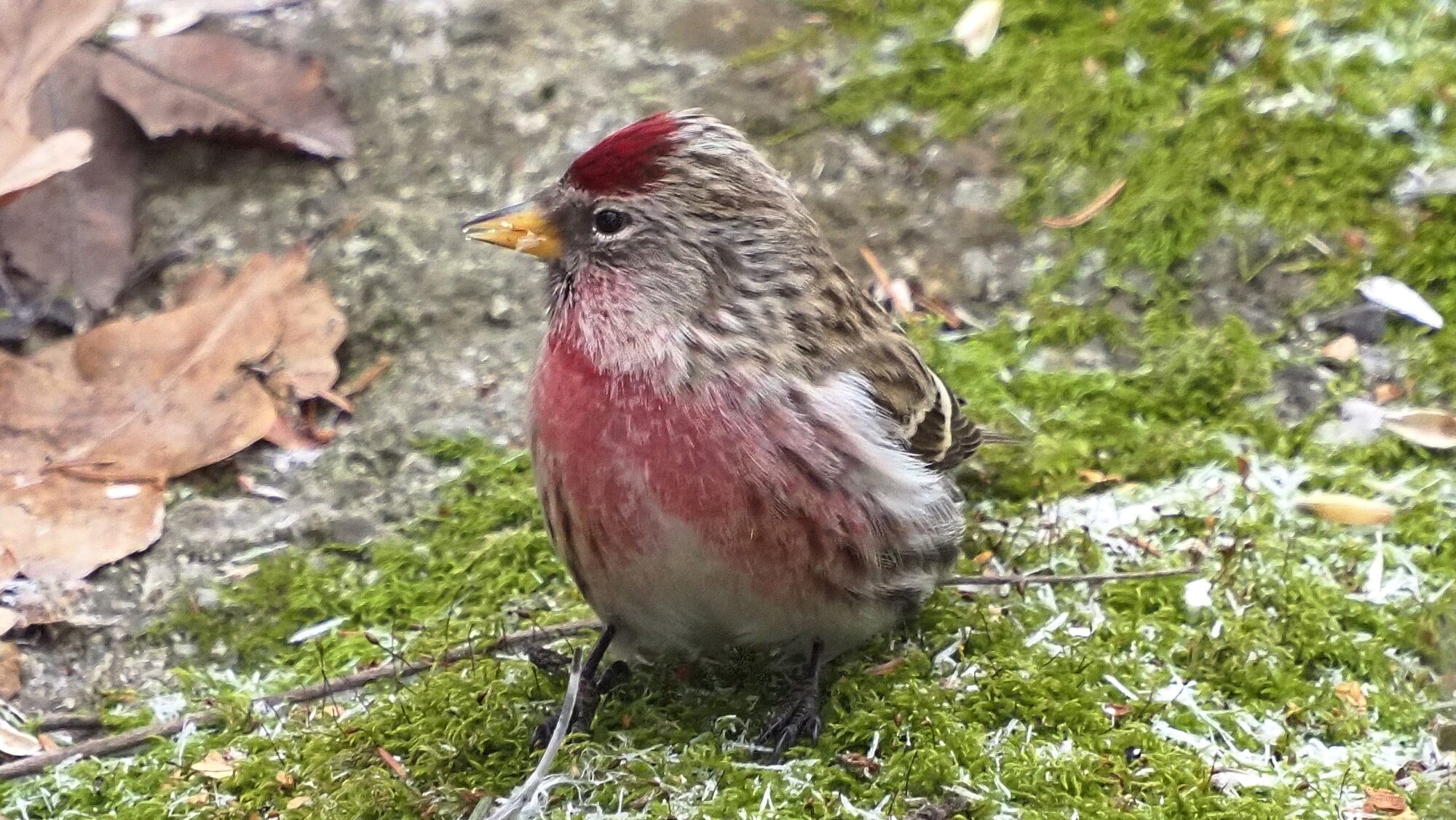 Valokuvaaja: Arja Valtonen