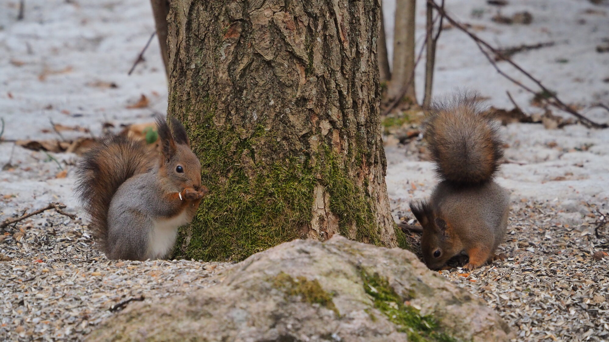 Valokuvaaja: Martti Valtonen